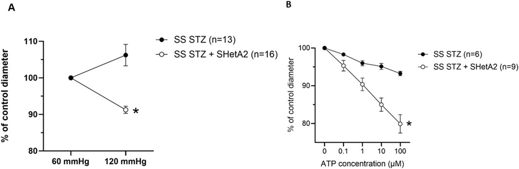 Two line graphs labeled A and B show the effect of SS STZ and SS STZ + SHetA2 treatments on percentage of control vessel diameter. Graph A compares effects at 60 mmHg and 120 mmHg, while Graph B shows the impact across varying ATP concentrations (0, 0.1, 1, 10, 100 µM). In both graphs, SS STZ + SHetA2 treatment results in a lower percentage compared to SS STZ alone, indicating a significant difference marked by an asterisk. Error bars represent variability in data.