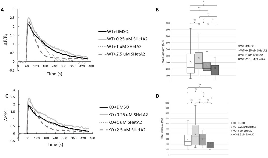 Two panels depict experimental data on calcium levels. Panel A shows a line graph of fluorescence change over time for WT cells treated with DMSO and varying concentrations of SHetA2, with fluorescence peaking around 60 seconds and decreasing over 480 seconds. Panel B is a box plot comparing total calcium across the same WT treatments, showing significant differences with annotations. Panel C presents a similar line graph for KO cells, also showing fluorescence change over time with different treatments. Panel D is a box plot for KO cells, indicating total calcium levels with fewer notable differences noted.