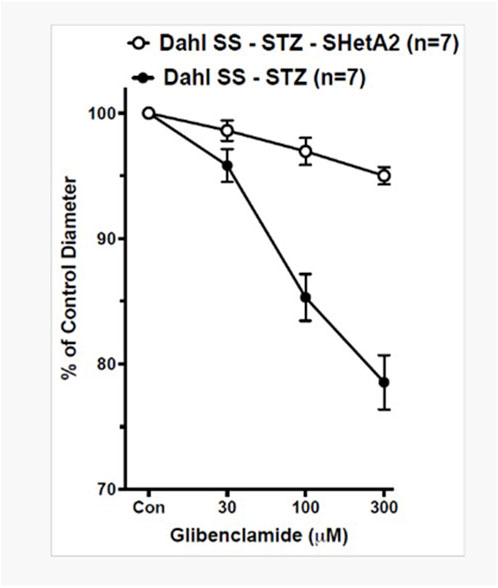 Line graph comparing the percentage of control vessel diameter with increasing concentrations of Glibenclamide in micromoles. Open circles represent Dahl SS - STZ - SHetA2 (seven samples) and show a slight decrease. Filled circles represent Dahl SS - STZ (seven samples) and show a steeper decline. Error bars indicate variability.