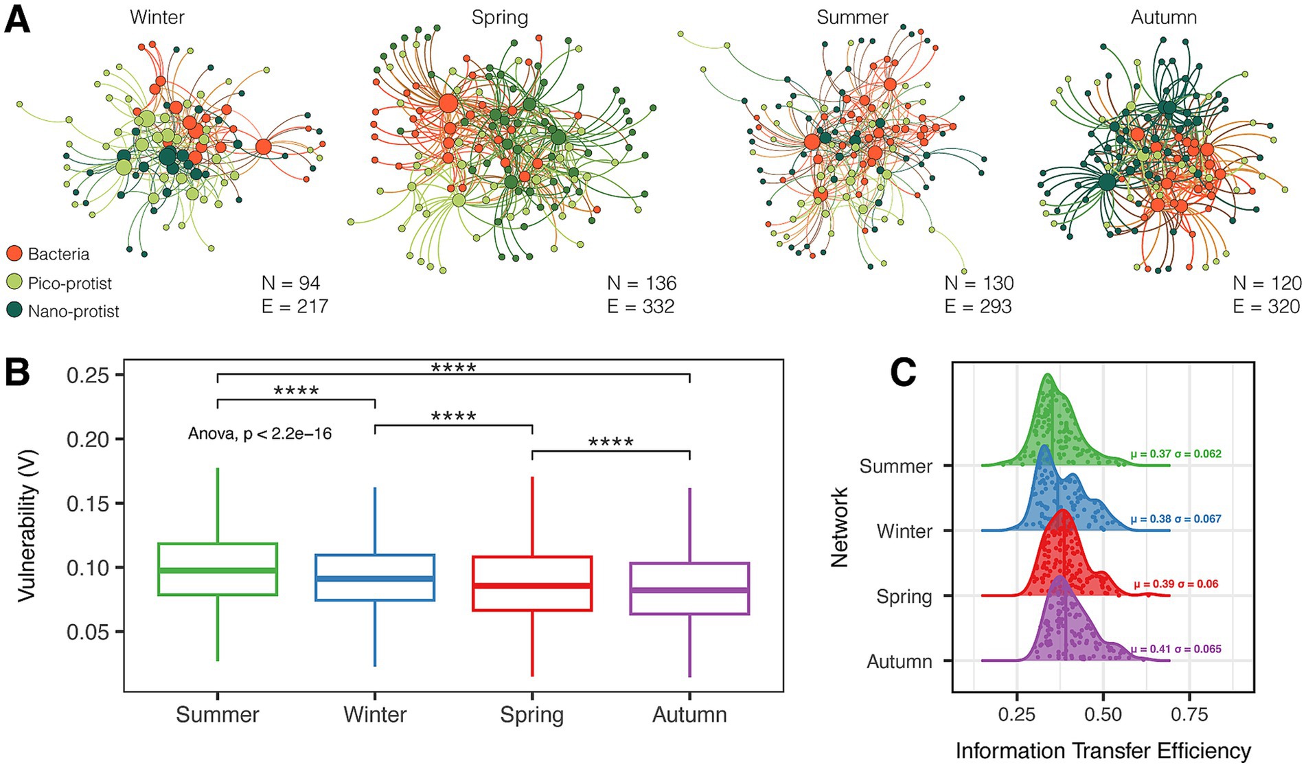 Diagram depicting seasonal microbial networks, vulnerability, and information transfer efficiency. Panel A shows network graphs for bacteria, pico-protists, and nano-protists in winter, spring, summer, and autumn. Panel B presents box plots comparing vulnerability across seasons, indicating significant differences. Panel C illustrates information transfer efficiency through density plots for each season, showing means and standard deviations.