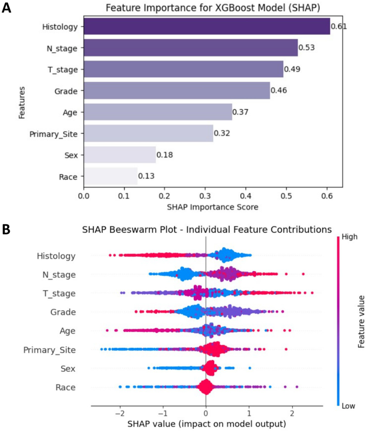 Panel A shows a horizontal bar chart of feature importance for an XGBoost model using SHAP values, with "Histology" as the most important feature and "Race" as the least. Panel B presents a SHAP beeswarm plot displaying individual feature contributions, with features on the vertical axis and SHAP values on the horizontal. Color intensity indicates feature values, with higher values in red and lower in blue.