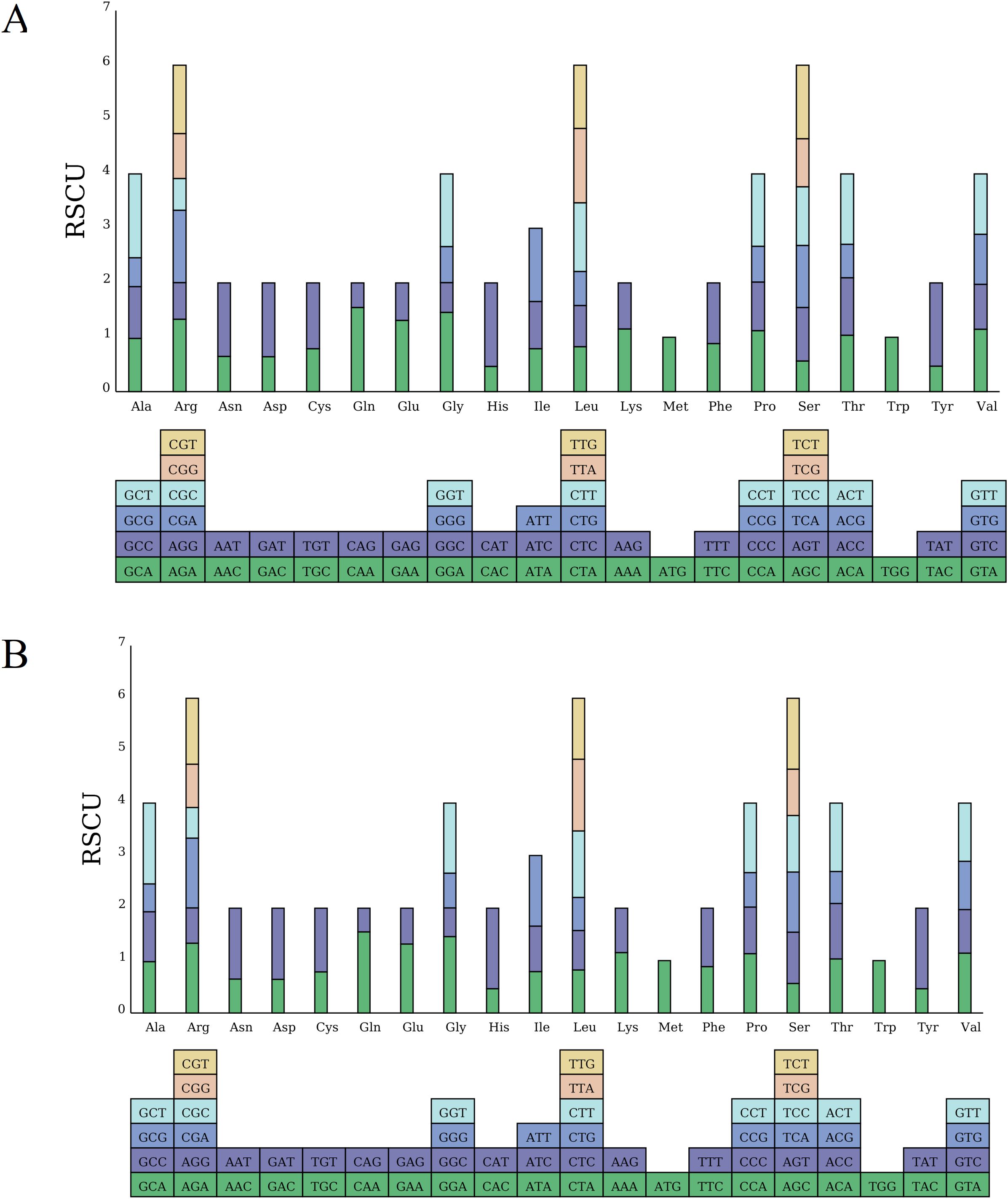 Bar graphs labeled A and B measure Relative Synonymous Codon Usage (RSCU) for different amino acids such as Ala, Arg, and Asn. Each bar, color-coded to represent various codons, illustrates frequency variations. Underneath, codons are displayed in color-coded boxes, correlating with the bars' sections. Both graphs show similar patterns, differing slightly in codon usage distribution.