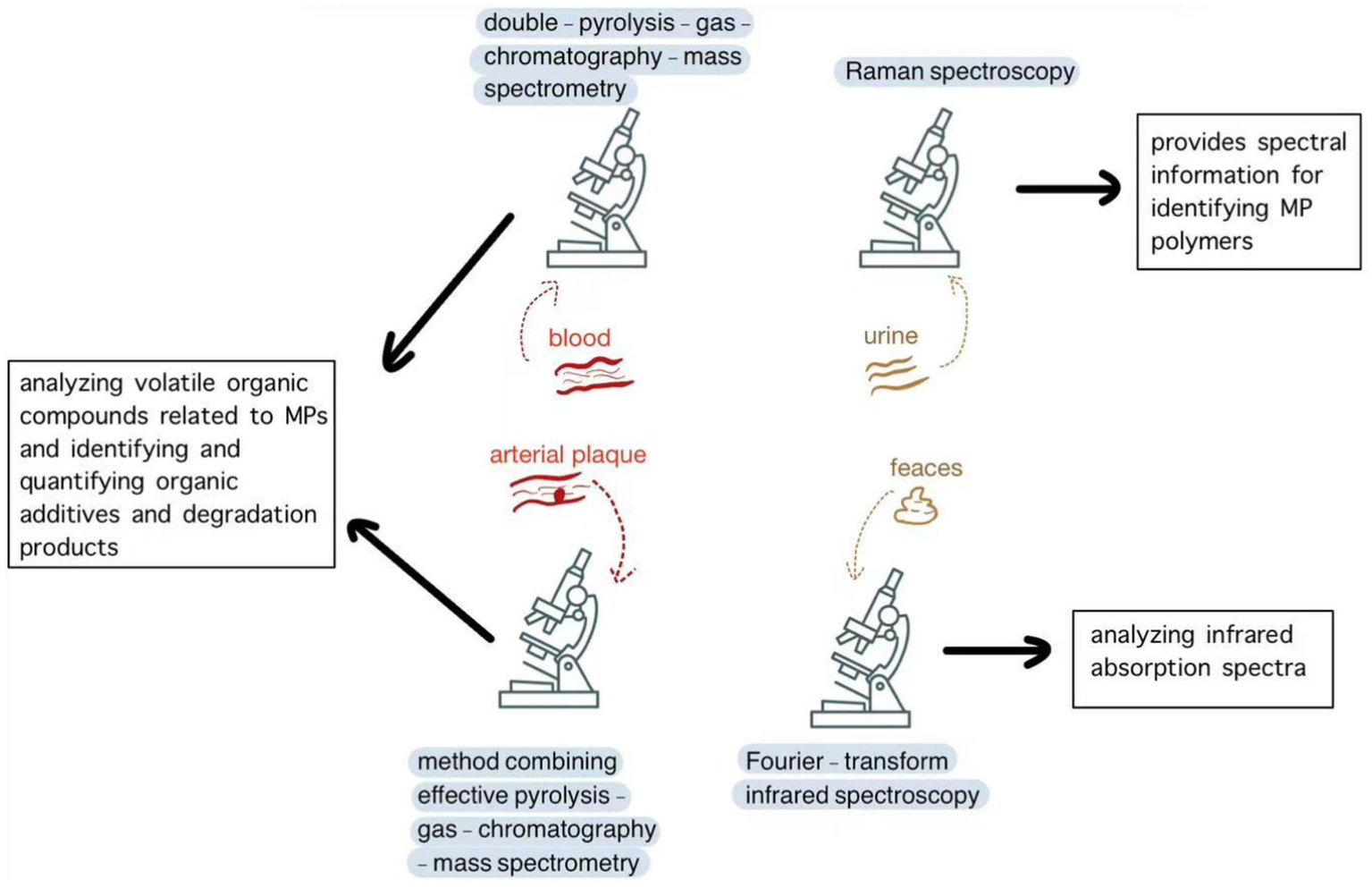 Diagram showing analytical techniques for detecting substances in biological samples. Double-pyrolysis gas chromatography-mass spectrometry analyzes blood and arterial plaque for organic compounds. Raman spectroscopy identifies microplastic polymers in urine. Fourier-transform infrared spectroscopy analyzes infrared absorption spectra in feces.