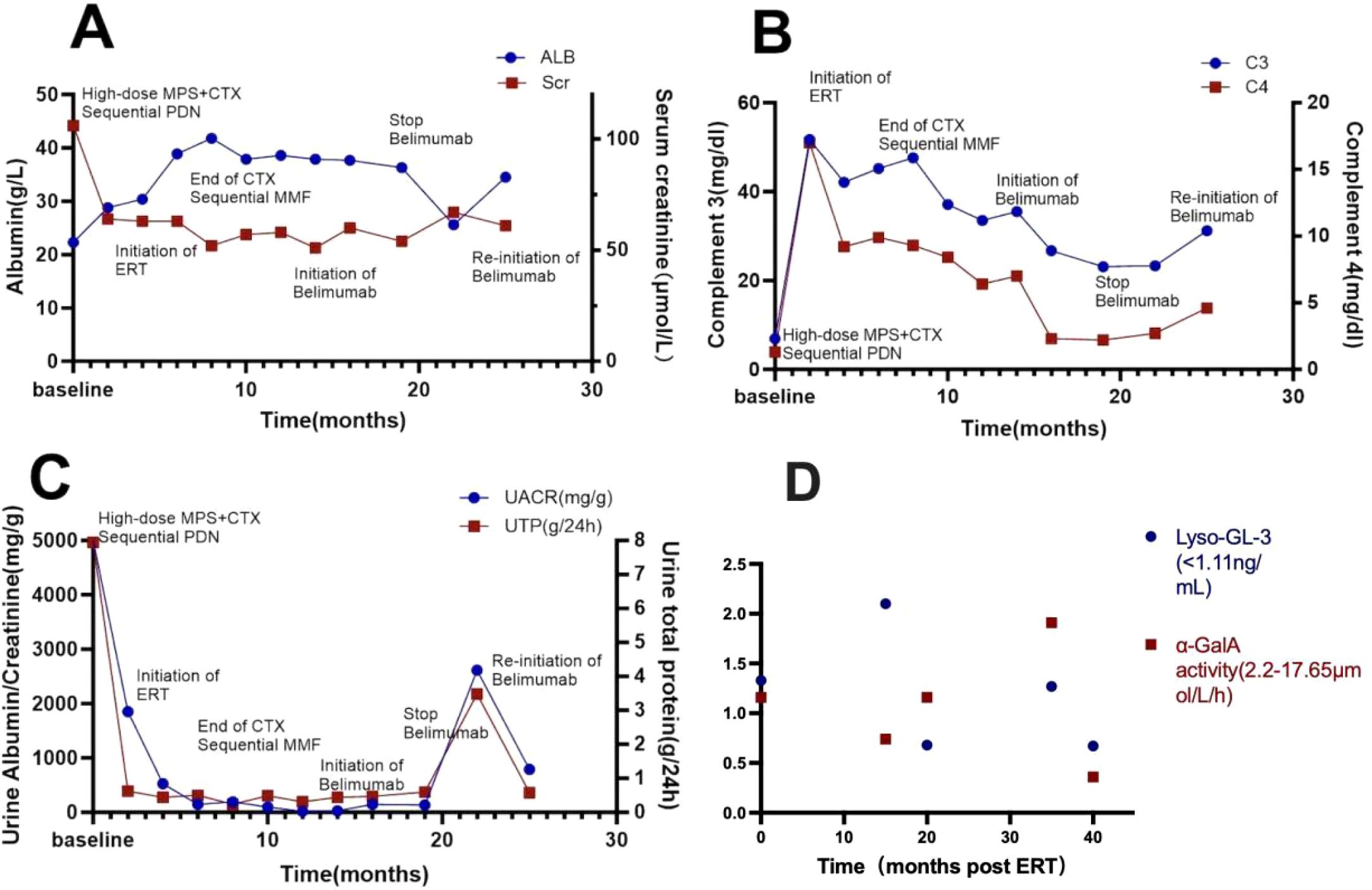 Four graphs (A, B, C, D) display medical data over time related to treatments and biochemical markers. A: Shows albumin (g/L) and serum creatinine (µmol/L) over 30 months, indicating various treatments like Belimumab. B: Displays complement C3 and C4 levels over the same period, with distinct treatment phases marked. C: Illustrates urine albumin/creatinine (mg/g) and urine total protein (UTP) (g/24h), highlighting treatment effects. D: A scatter plot of Lyso-GL-3 and α-GalA activity levels over time post-enzyme replacement therapy (ERT), showing variable data points.