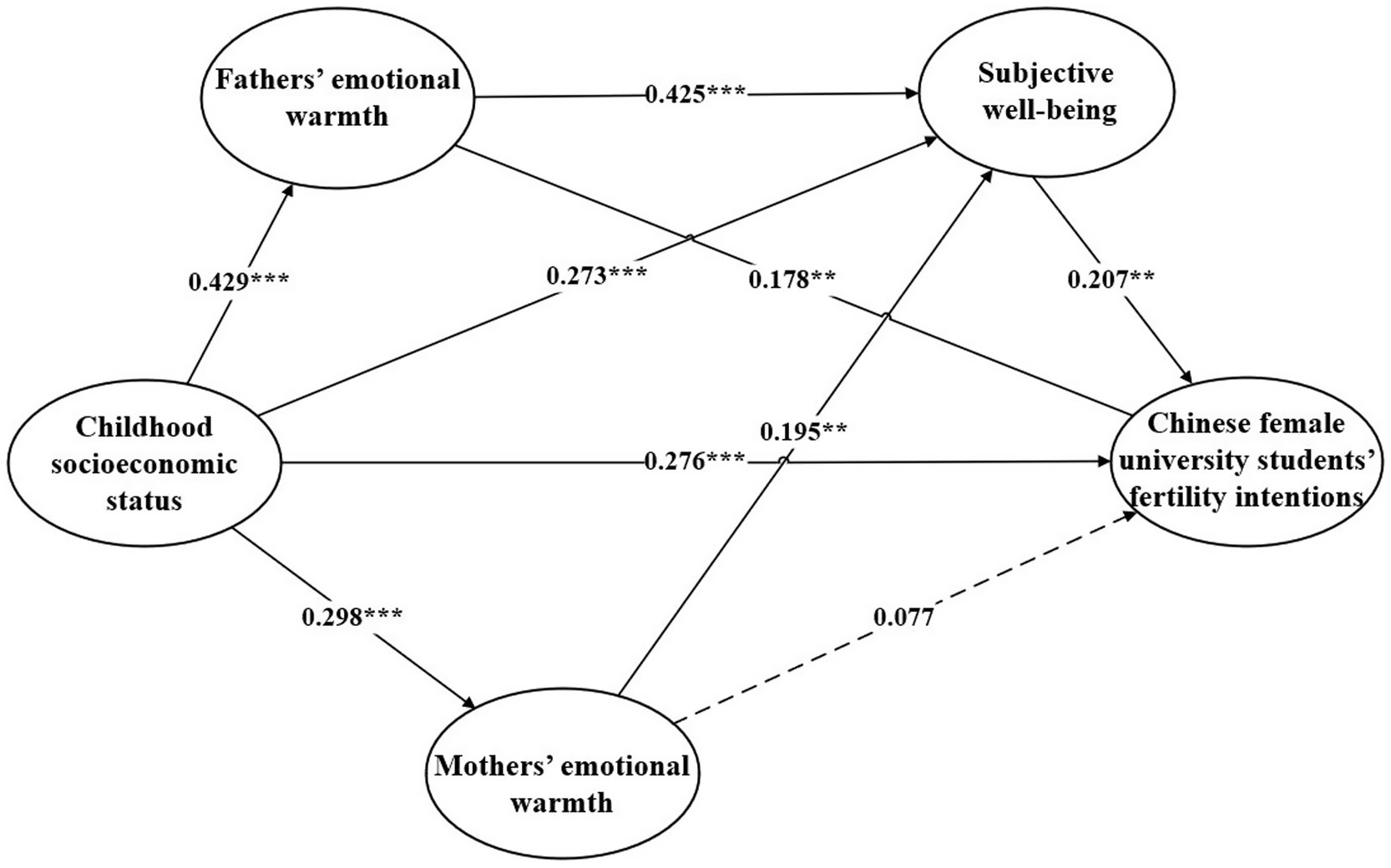 Diagram illustrating relationships between variables: Childhood socioeconomic status influences fathers' emotional warmth (0.429***), mothers' emotional warmth (0.298***), and subjective well-being (0.425***). Subjective well-being affects Chinese female university students' fertility intentions (0.207**). Fathers' emotional warmth impacts subjective well-being, which subsequently affects fertility intentions. Mothers' emotional warmth has a direct effect on fertility intentions (0.195**) and a weaker influence via subjective well-being (0.077). Arrows denote paths and numbers represent path coefficients.