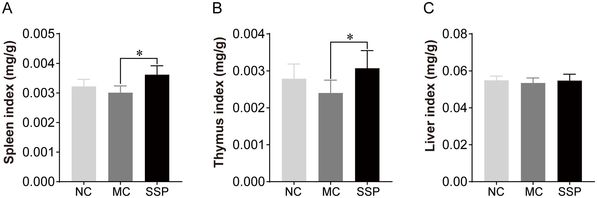 Bar charts labeled A, B, and C display spleen, thymus, and liver indexes in milligrams per gram, respectively. Group NC, MC, and SSP are compared. Significant differences are marked with an asterisk. Chart A shows higher spleen index in SSP compared to MC. Chart B shows higher thymus index in SSP compared to MC. Chart C indicates similar liver indexes across all groups.