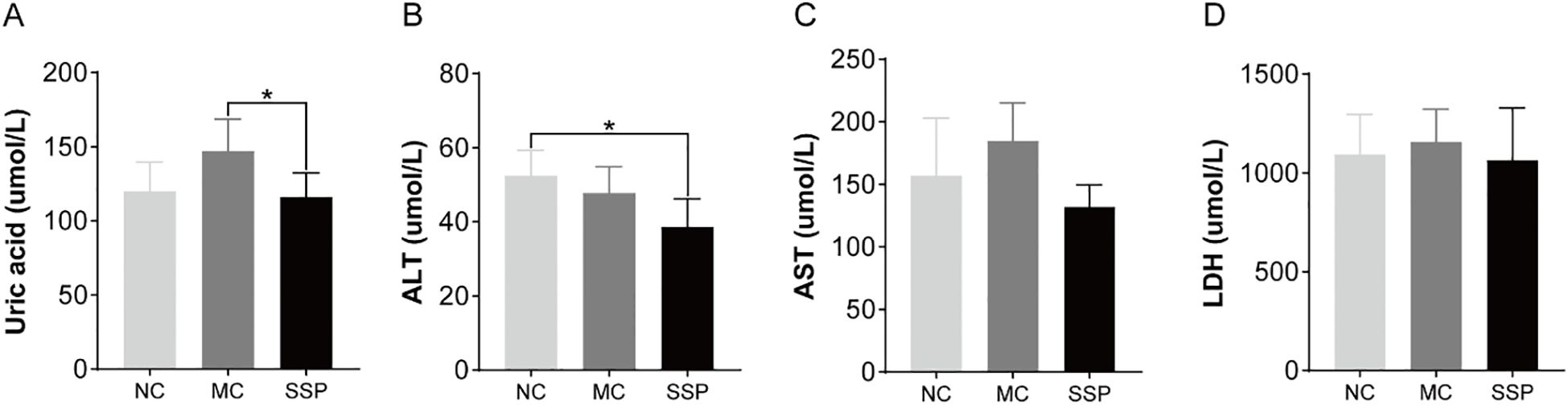 Bar graphs labeled A to D compare levels of uric acid, ALT, AST, and LDH in micromoles per liter across three groups: NC, MC, and SSP. Graph A shows significantly lower uric acid in SSP compared to MC. Graph B indicates significantly lower ALT in SSP than NC. Graphs C and D show similar levels of AST and LDH across all groups without significant differences.