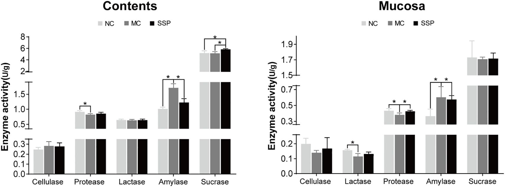 Bar charts compare enzyme activities in contents and mucosa, measuring cellulase, protease, lactase, amylase, and sucrase. Groups shown are NC, MC, and SSP, with significant differences marked by asterisks.