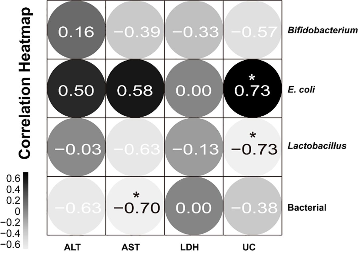 Correlation heatmap depicting relationships between different bacterial types (Bifidobacterium, E. coli, Lactobacillus) and variables (ALT, AST, LDH, UC). Color intensity indicates correlation strength. Significant correlations are marked with an asterisk.