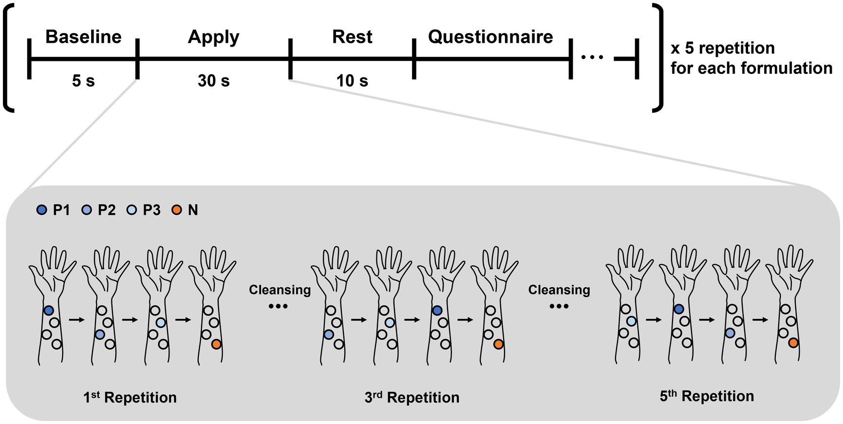 Timeline and schematic of the cosmetic texture study procedure. The timeline includes steps: Baseline (5 seconds), Apply (30 seconds), Rest (10 seconds), and Questionnaire. This sequence was repeated five times per formulation. Below, diagrams of arms indicate formulation application spots labeled P1, P2, P3, and N. The order of formulations varied across repetitions. Cleansing was performed between each repetition to remove residue.