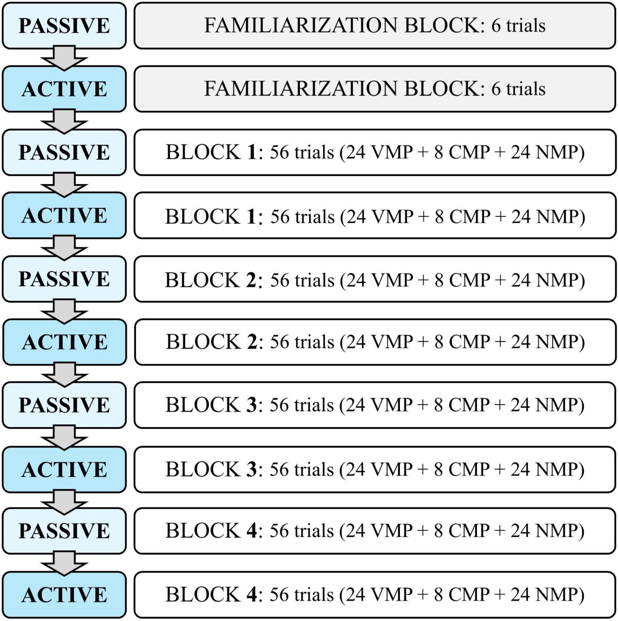 Flowchart illustrating a sequence of experimental blocks. It starts with a passive familiarization block of six trials, followed by an active familiarization block of six trials. Then, four blocks alternate between passive and active states. Each block contains fifty-six trials, divided into twenty-four VMP, eight CMP, and twenty-four NMP trials.