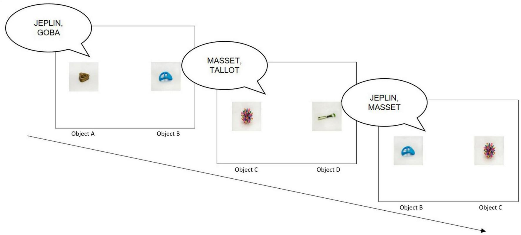 Three boxes arrayed diagonally downward, each containing small objects. The first box has two objects (A and B) labeled “JEPLIN, GOBA”. The second box contains two itemsobjects (C and D) labeled “MASSET, TALLOT”. The third box includes two objects (B and C) labeled “JEPLIN, MASSET”. Speech bubbles above each box correspond to their labels. A diagonal arrow runs from top left to bottom right, showing trials sequence.