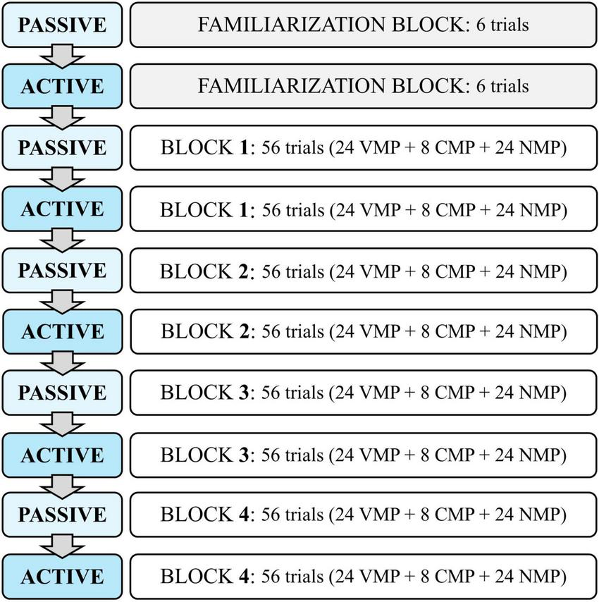 Flowchart illustrating a sequence of experimental blocks. It starts with a passive familiarization block of six trials, followed by an active familiarization block of six trials. Then, four blocks alternate between passive and active states. Each block contains fifty-six trials, divided into twenty-four VMP, eight CMP, and twenty-four NMP trials.