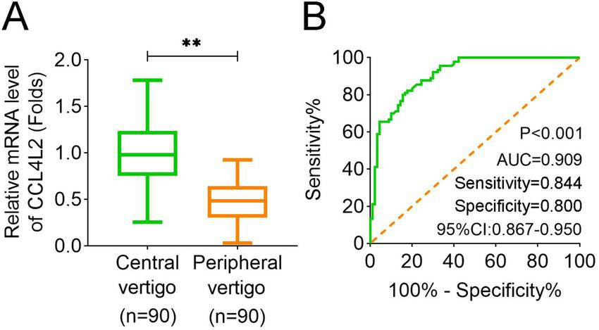 Panel A shows box plots comparing CCL4L2 mRNA levels in central versus peripheral vertigo, with central vertigo showing higher levels. Panel B displays a ROC curve with an area under the curve (AUC) of 0.909, sensitivity of 0.844, and specificity of 0.800, indicating good diagnostic performance.
