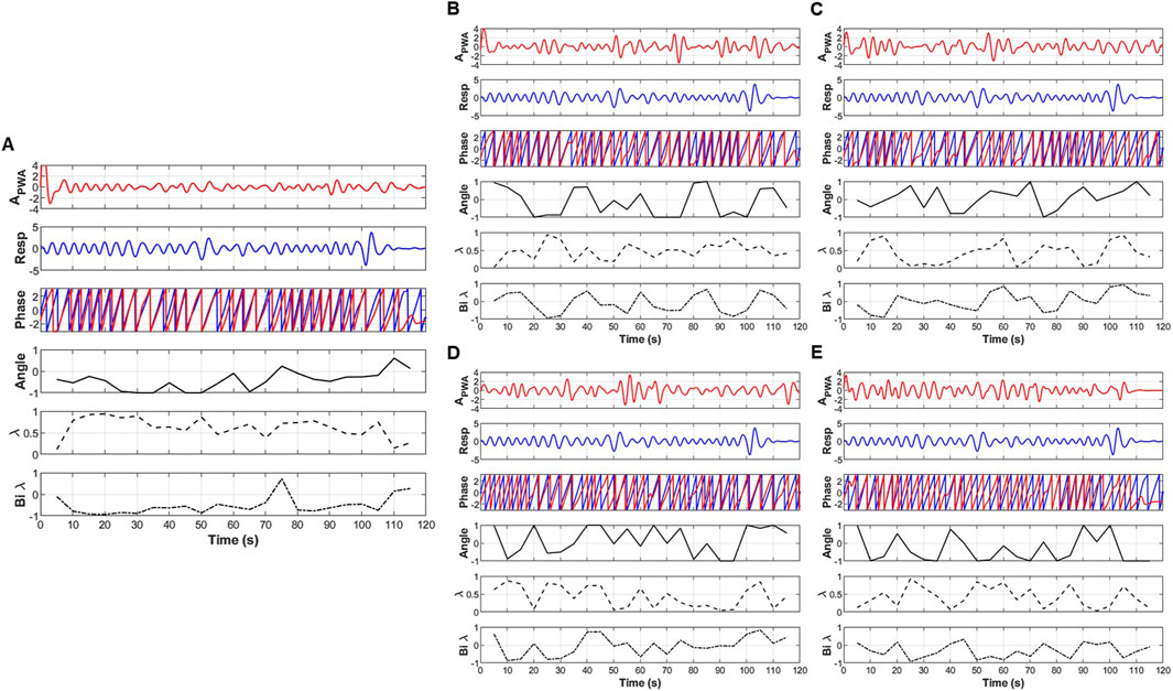 Five panels labeled A to E display time-series graphs over 120 seconds. Each panel shows five graphs: A\_PWA (red), Resp (blue), Phase (red and blue), Angle (black), and two lower graphs, likely λ and BI λ, with dotted and dashed lines. The patterns in each graph vary slightly between panels, indicating different data sets but similar overall behavior.