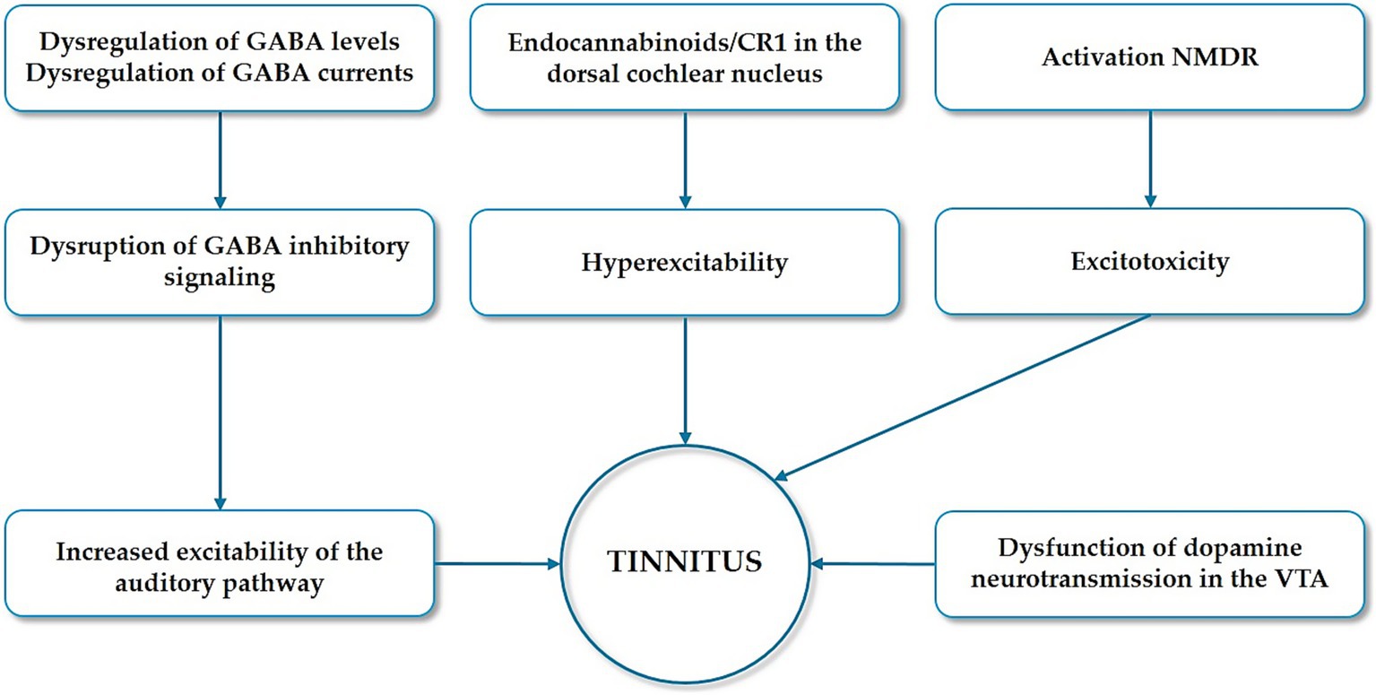 Flow chart summarizing neurotransmitter dysregulation contributing to tinnitus. Reduced GABAergic transmission, NMDA receptor dysfunction, disrupted endocannabinoid signaling all lead to an overactive auditory network, thus leading to tinnitus.