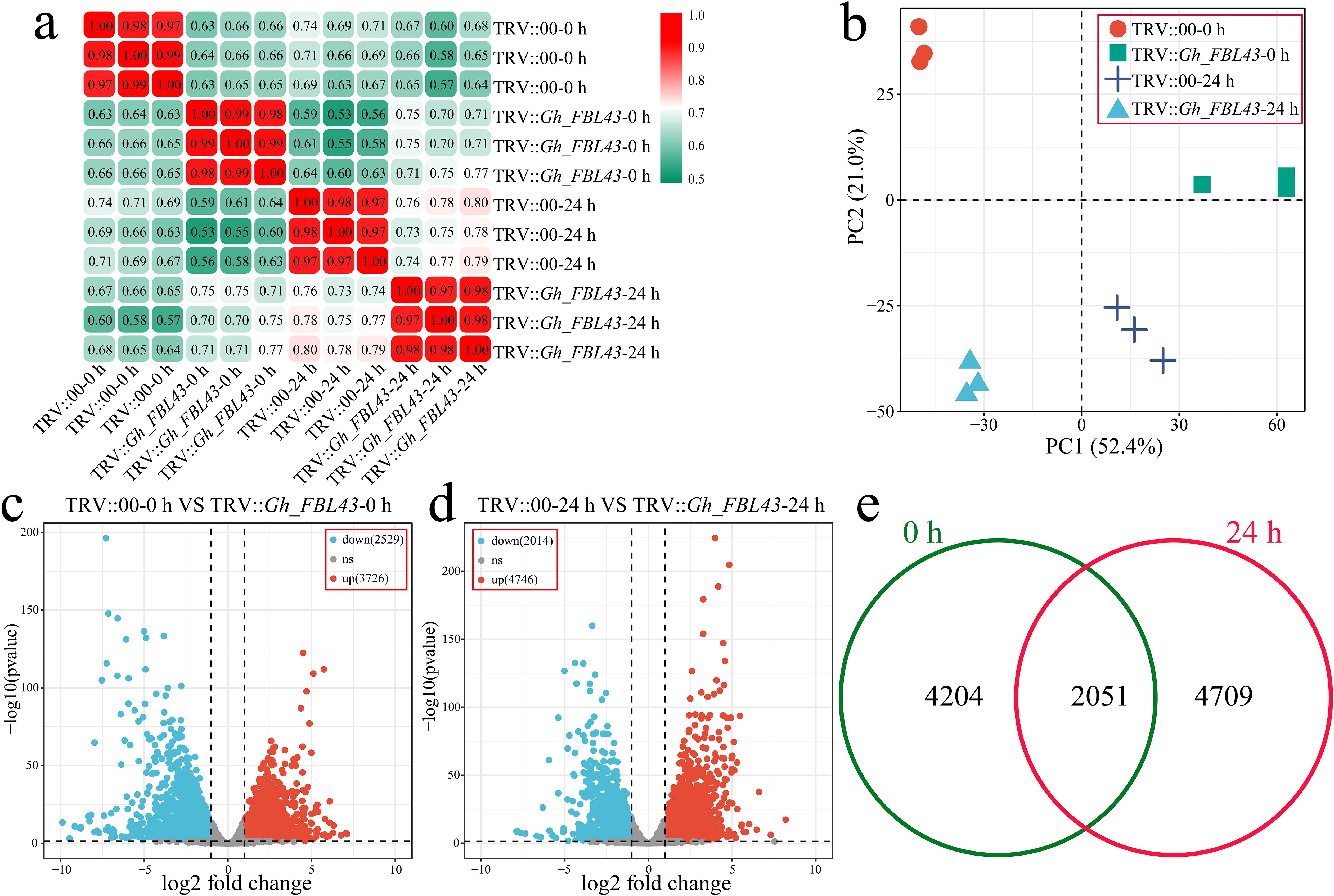 Five-panel image showing data visualizations. Panel a: Heatmap with correlation coefficients, showing clustered designations. Panel b: PCA plot with different treatments represented by various symbols, displaying two principal components. Panels c and d: Volcano plots showing log2 fold change against -log10 p-values, highlighting upregulated and downregulated data points. Panel e: Venn diagram showing the number of shared and unique elements between two conditions at 0 and 24 hours.