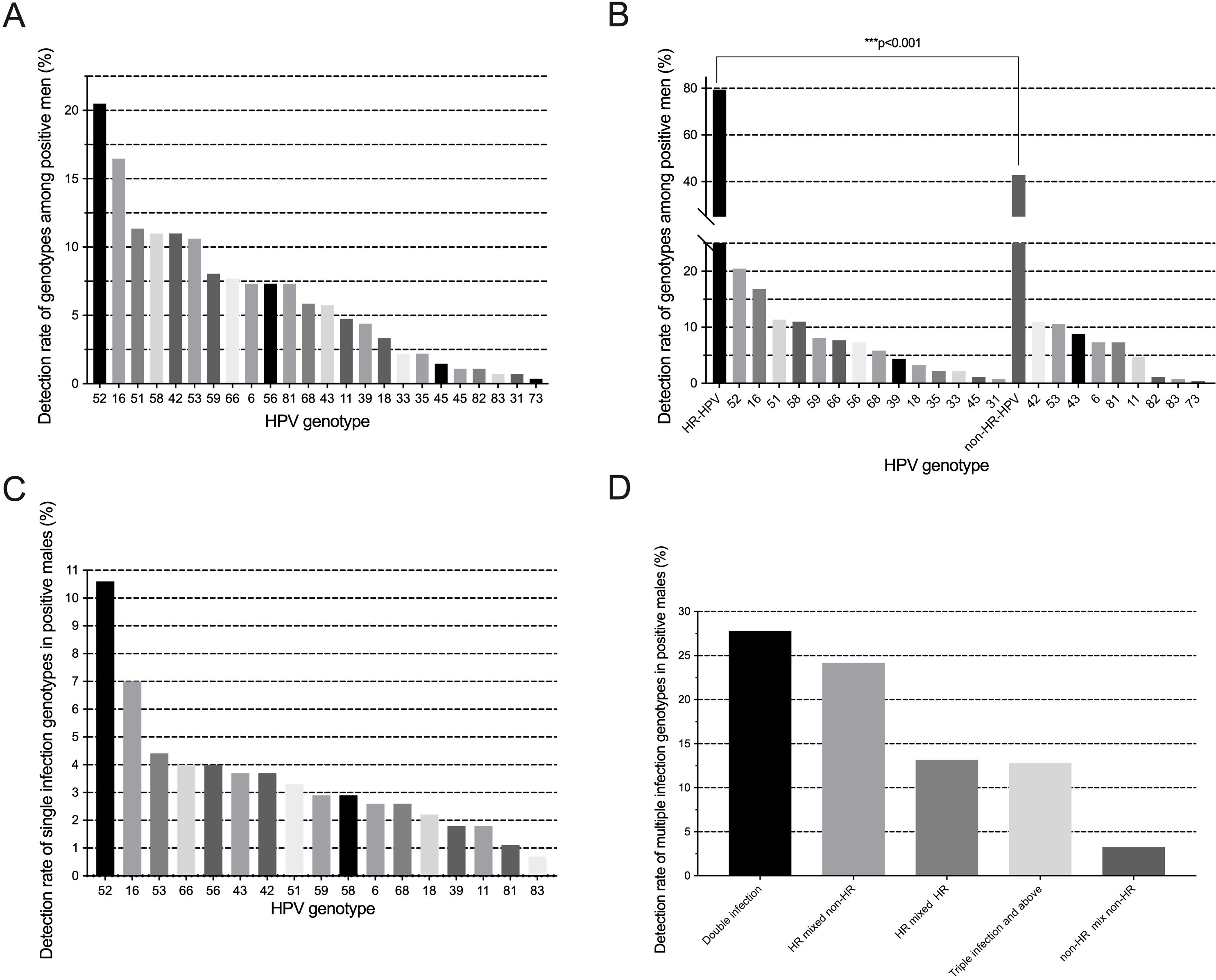 Four bar graphs labeled A, B, C, and D depicting various HPV genotype detection rates among positive men. Graph A shows the detection rate of genotypes such as 52, 16, and 51, with decreasing frequency. Graph B compares HR-HPV and non-HPV genotypes, highlighting HR-HPV as significantly higher. Graph C focuses on single infection rates, again noting genotypes like 52 and 16 with higher rates. Graph D illustrates multiple infection detection rates, with double infections being the most common. Each graph includes percentage scales and genotype labels.