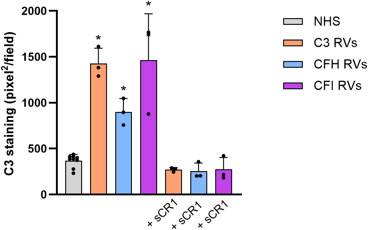 Bar graph showing C3 staining in pixels squared per field for NHS, C3 RVs, CFH RVs, and CFI RVs. NHS is lowest, followed by increased staining in C3, CFH, and CFI RVs. Labels “+SCR1” show reduced staining for all three RVs. Error bars and significance asterisks are included.