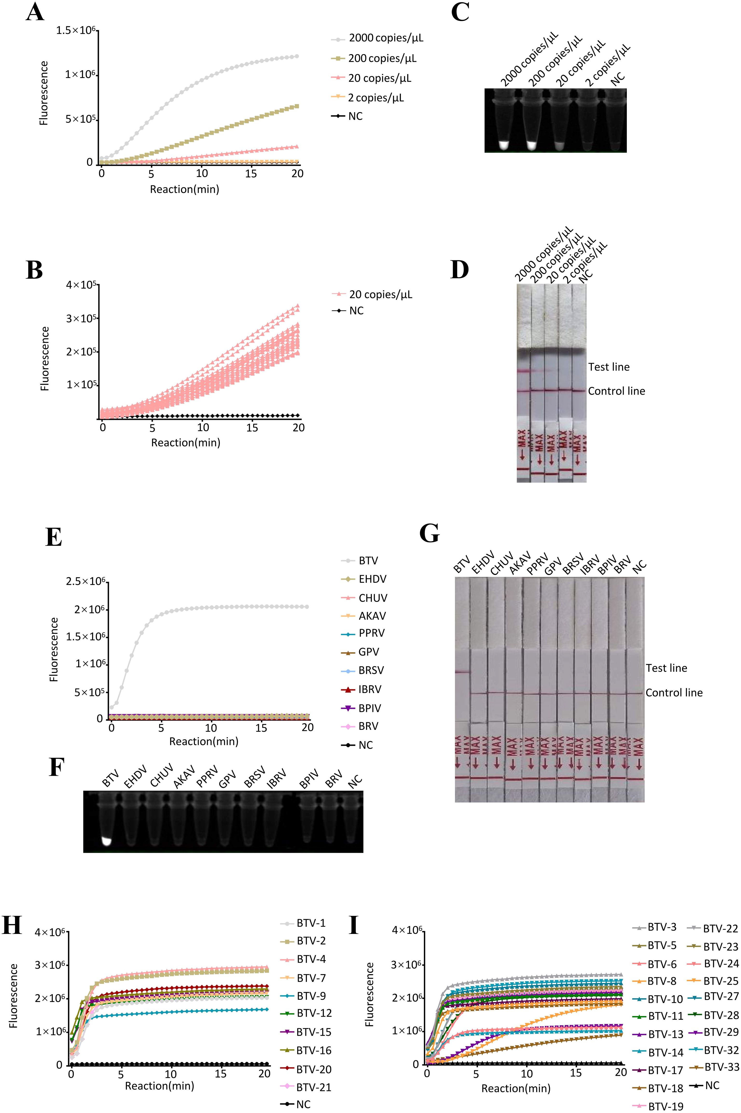A series of graphs and images related to reaction tests. Graphs A, B, E, H, and I show fluorescence over time with varying concentrations or types indicated in legends. Insets C and F display gel images with labeled lanes. D and G show test strips with labeled sections for concentration or type. Each graph and image examines different samples or conditions related to the test lines and controls.