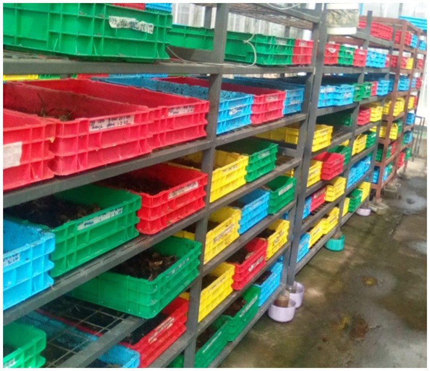 Shelves filled with colorful plastic crates, including red, green, yellow, and blue, organized in rows. Some crates contain items, while others appear empty. The scene suggests a storage or organizational setting.