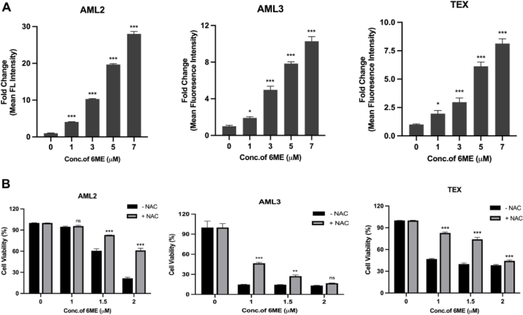 Panel A displays bar charts showing the fold change in fluorescence intensity for AML2, AML3, and TEX cells at various concentrations of 6ME. Higher concentrations correspond to increased fluorescence. Panel B depicts the cell viability percentage for AML2, AML3, and TEX cells treated with 6ME, with and without NAC. Viability decreases with higher 6ME concentrations, with NAC exhibiting a modulating effect. Statistical significance is indicated with asterisks.