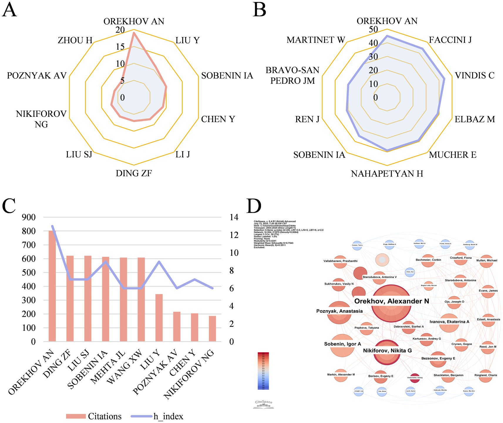 A four-panel image displays academic citation analysis. Panel A is a radar chart showing the top 10 authors with the highest output quantity. Panel B is a similar radar chart depicting the top 10 authors with the highest number of local citations. Panel C features a bar and line graph illustrating citations and h-indexes for nine researchers. Panel D visualizes a co-authorship network with nodes representing authors and connections indicating collaboration strength, including Orekhov, Alexander N. and others.