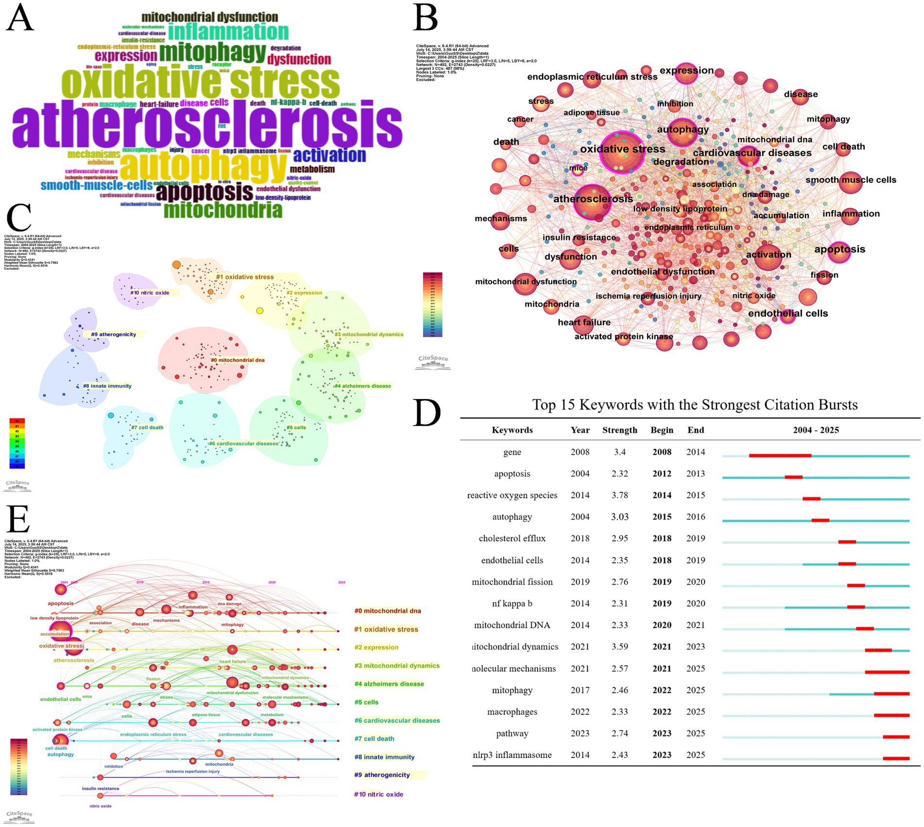 Five panels labeled A to E contain various visualizations related to medical research. A: Word cloud highlighting terms like