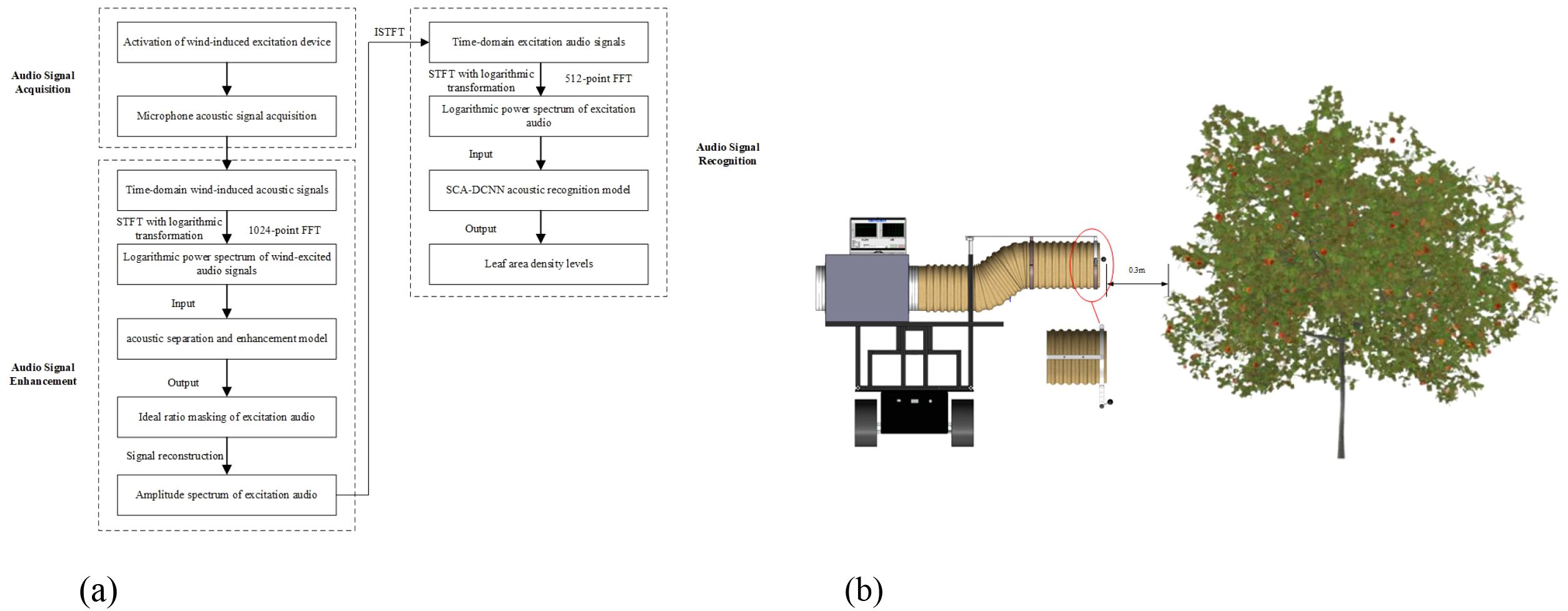 Presents the workflow and schematic for leaf area density detection based on audio signals. Subfigure (a) shows a flowchart of the process. It begins with wind-excitation and acoustic signal collection, followed by time-domain processing and logarithmic transformation using FFT, then audio signal enhancement via separation and masking models. The enhanced signal is processed by an SCA-DCNN recognition model to classify leaf area density levels. Subfigure (b) illustrates a schematic of the physical setup, showing a tracked platform with a duct system directing wind toward a fruit tree canopy at a fixed distance for acoustic signal acquisition.