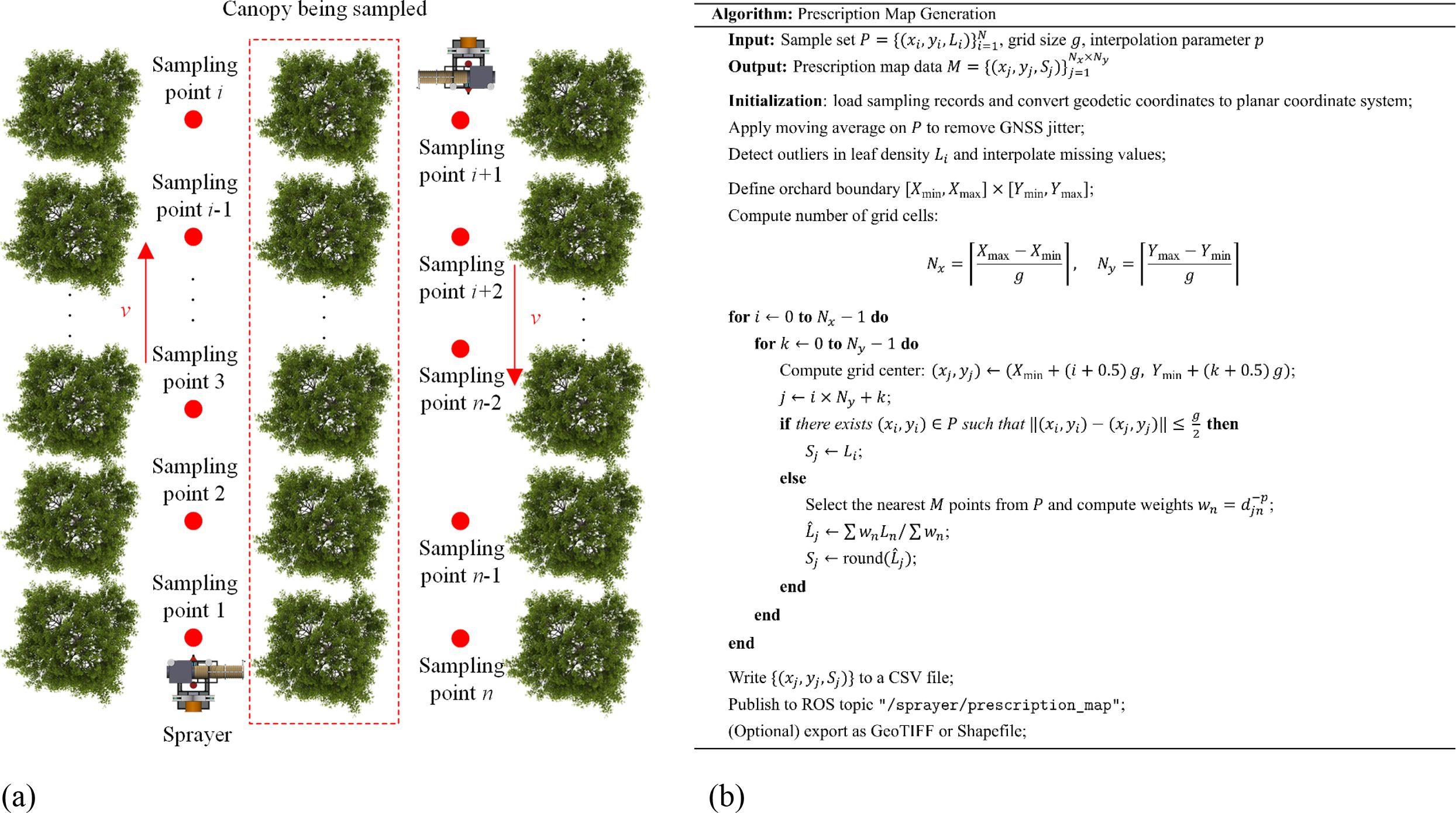 Illustrates the methodology for prescription map generation in orchards. Subfigure (a) shows the orchard layout with rows of trees and a self-propelled sprayer moving between them, recording sampling points for canopy leaf area density using GNSS-based positioning. Red dots indicate sampling locations, and tree canopies are labeled to represent sampled areas. Subfigure (b) presents a pseudocode algorithm that generates the prescription map. The algorithm includes steps for grid partitioning, interpolation of leaf area density, and spatial averaging using weights. Final outputs include CSV files and optional GeoTIFF or Shapefile exports for use in spraying systems.