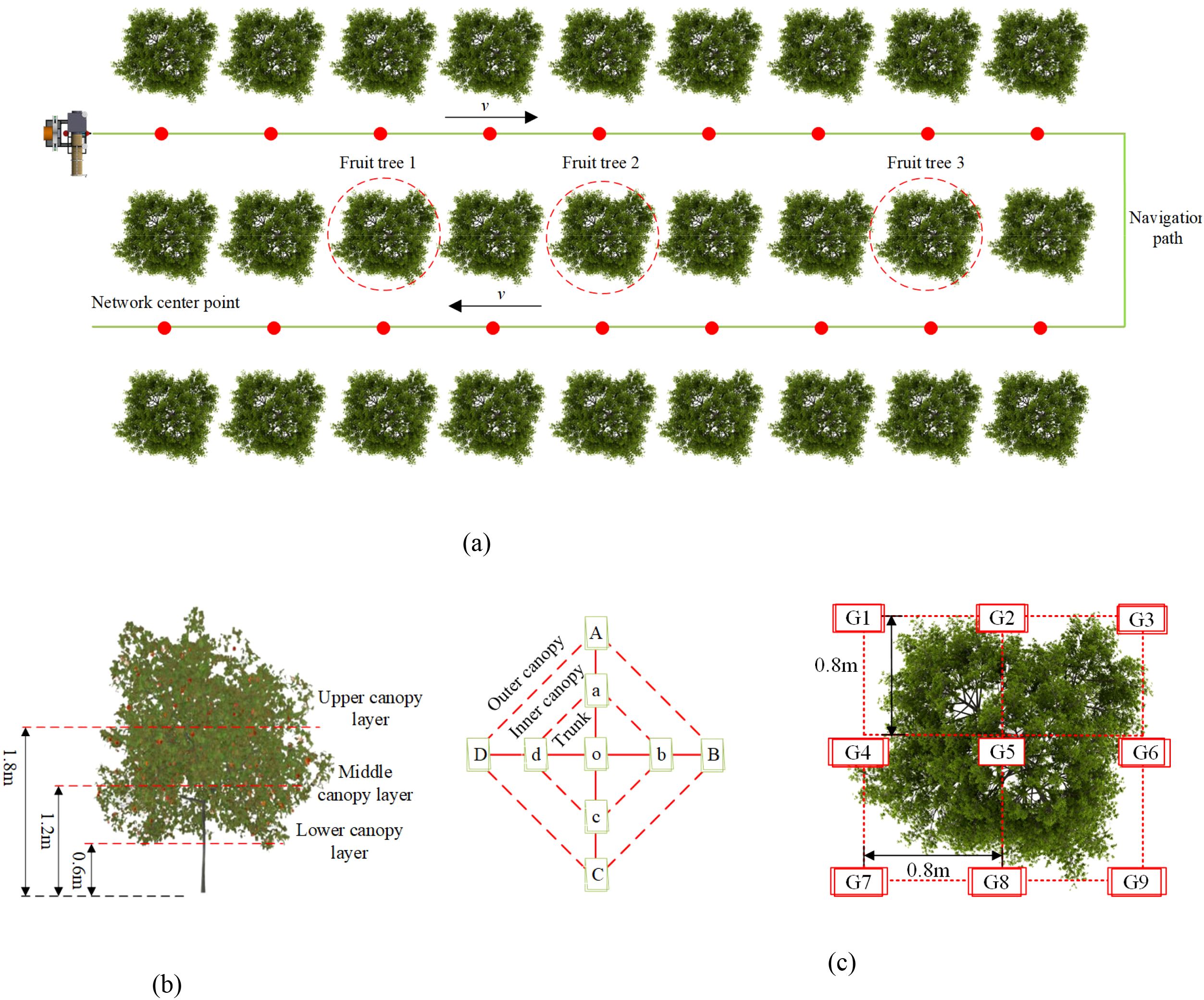 Illustrates the experimental layout for droplet deposition testing. (a) Shows the sprayer operation scheme in a two-row orchard setup, with red dots marking sampling positions and three fruit trees (labeled 1–3) designated for canopy deposition evaluation. The sprayer moves in opposite directions along the rows. (b) Depicts the sampling point distribution within the tree canopy, divided into upper, middle, and lower layers, and further segmented into outer and inner canopy zones. (c) Displays a top-down view of the ground-level sampling grid around the tree, with nine labeled positions (G1–G9) arranged in a 0.8 m × 0.8 m square pattern beneath the canopy for droplet collection.