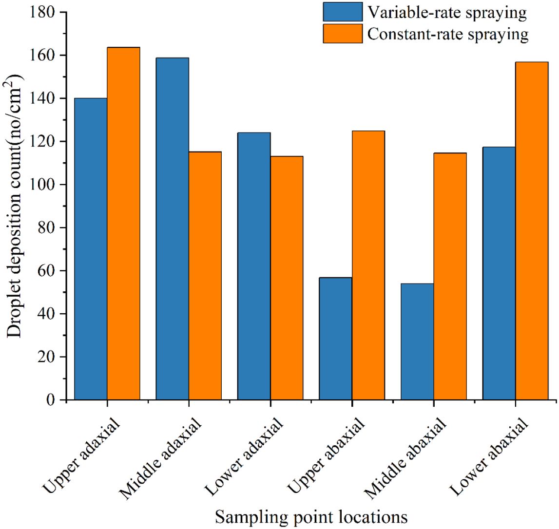 Bar chart comparing average droplet deposition counts (no./cm²) on adaxial and abaxial leaf surfaces across upper, middle, and lower canopy layers under two spraying strategies: variable-rate spraying (blue bars) and constant-rate spraying (orange bars). The x-axis represents different sampling point locations (e.g., upper adaxial, middle adaxial, lower adaxial, upper abaxial, etc.), while the y-axis indicates droplet deposition counts. Constant-rate spraying shows higher deposition on most surfaces, particularly the lower abaxial surface, whereas variable-rate spraying shows more uniform distribution across the canopy.