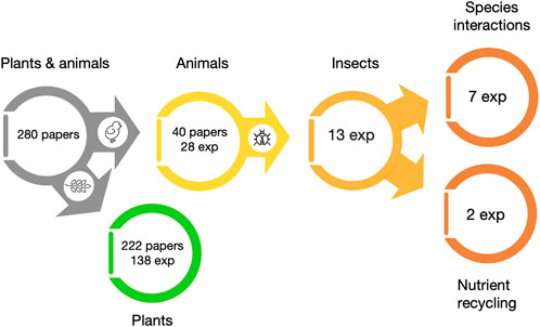 Diagram showing the number of published papers with different focus. In the category