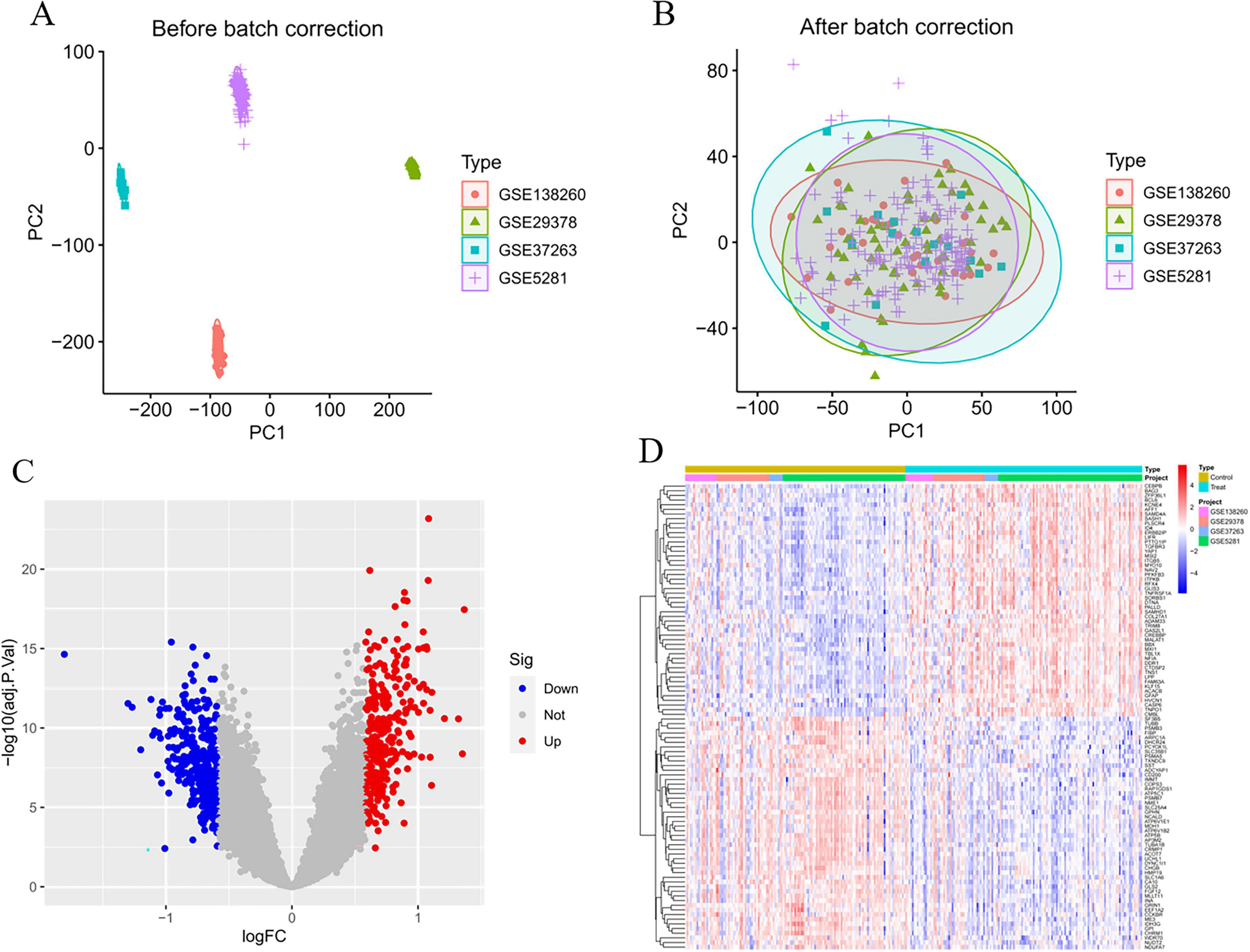 Panel A shows a PCA plot before batch correction, with distinct clustering of data types. Panel B shows improved clustering after batch correction, with overlapping data points. Panel C is a volcano plot highlighting significant upregulated (red) and downregulated (blue) genes. Panel D is a heatmap displaying gene expression across samples, with color-coded data types.