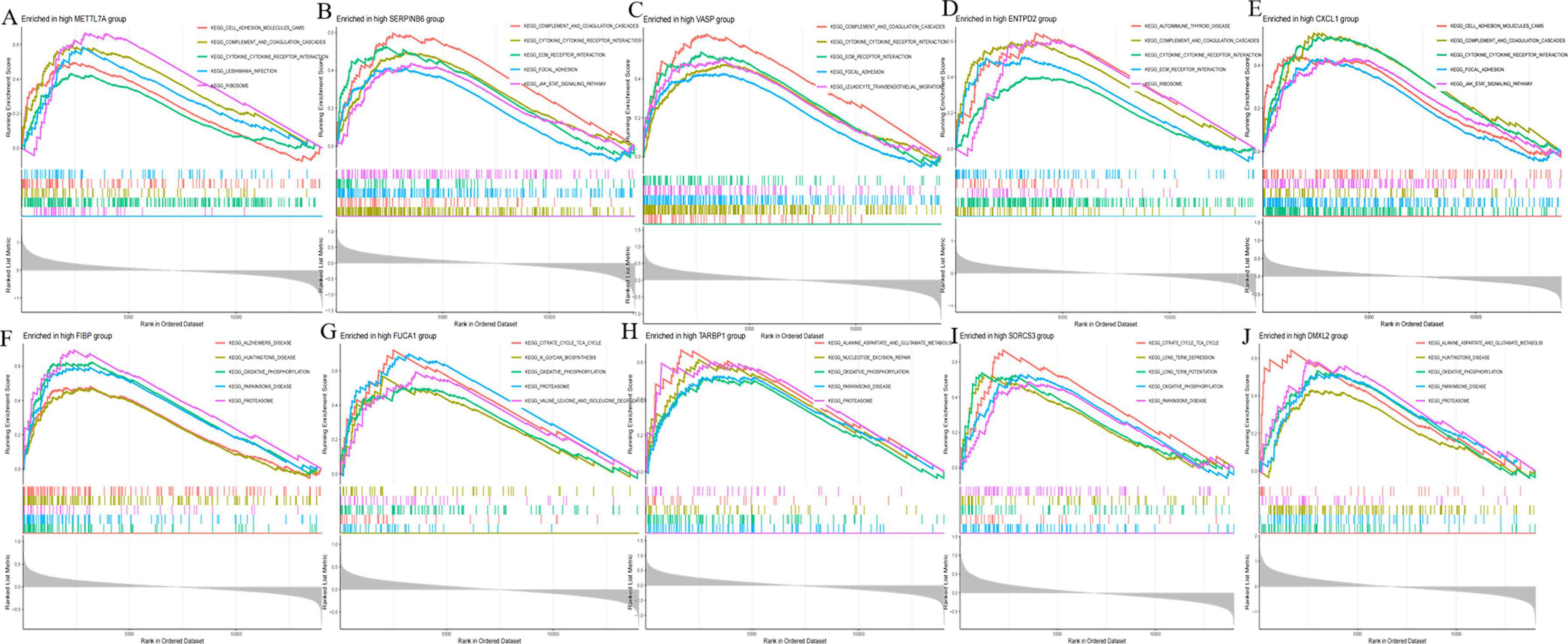 Ten-panel graph comparing enrichment plots for various gene groups across different gene sets. Each plot displays enrichment scores and ranks, with colored lines representing different data series. The lower part of each panel shows rank scores.