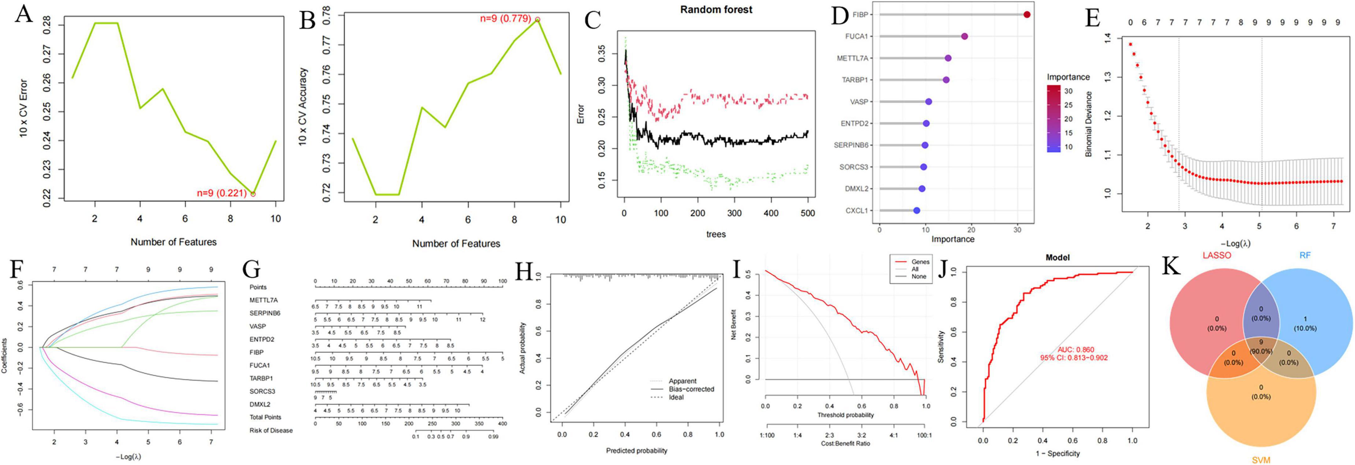“A series of charts and graphs related to feature selection and model evaluation in machine learning. A: Plot showing cross-validation errors versus number of features, highlighting the minimum error point. B: Plot showing cross-validation accuracy versus number of features with a marked optimal point. C: Random forest error rates across iterations with different colored lines. D: Feature importance chart in a random forest model with color-coded importance levels. E: Regularization plot showing coefficient paths against lambda values. F: Partial dependence plots illustrating feature effects. G: Risk assessment chart. H: Calibration plot comparing predicted probabilities and actual outcomes. I: Cumulative decision curve. J: ROC curve with AUC value indicated. K: Venn diagram showing overlap among selected features by different methods.”