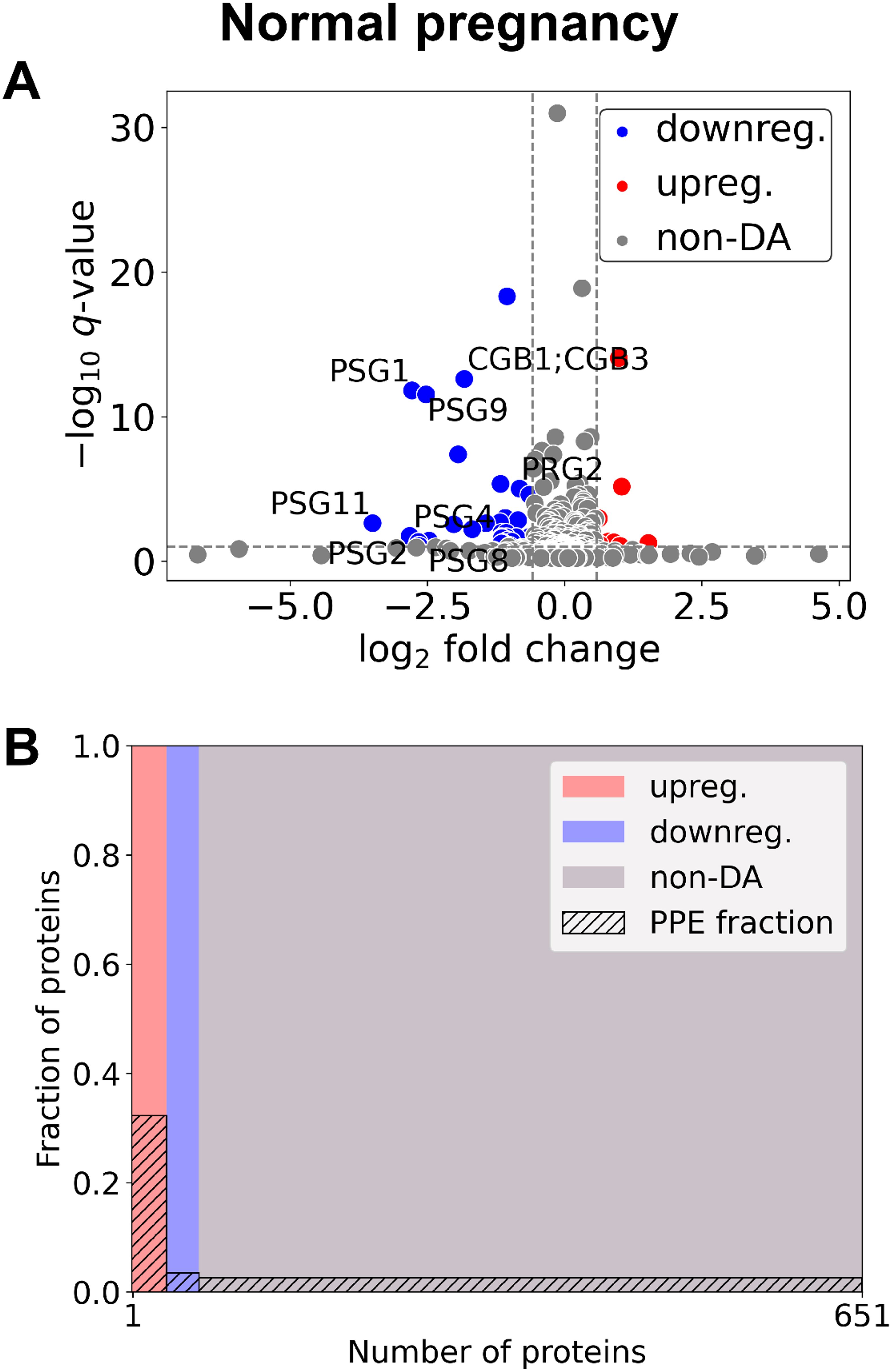 Graph A shows a volcano plot for normal pregnancy, displaying proteins with their log2 fold change between 6-9 and 9-13 weeks of gestation against negative log10 q-value. Proteins are categorized as downregulated (blue), upregulated (red), or nondifferentially abundant (gray). Graph B depicts a mosaic plot showing the enrichment of predominantly placental expressed proteins in the striped fraction. Upregulated proteins are marked red, downregulated proteins blue, and non-DA proteins grey.