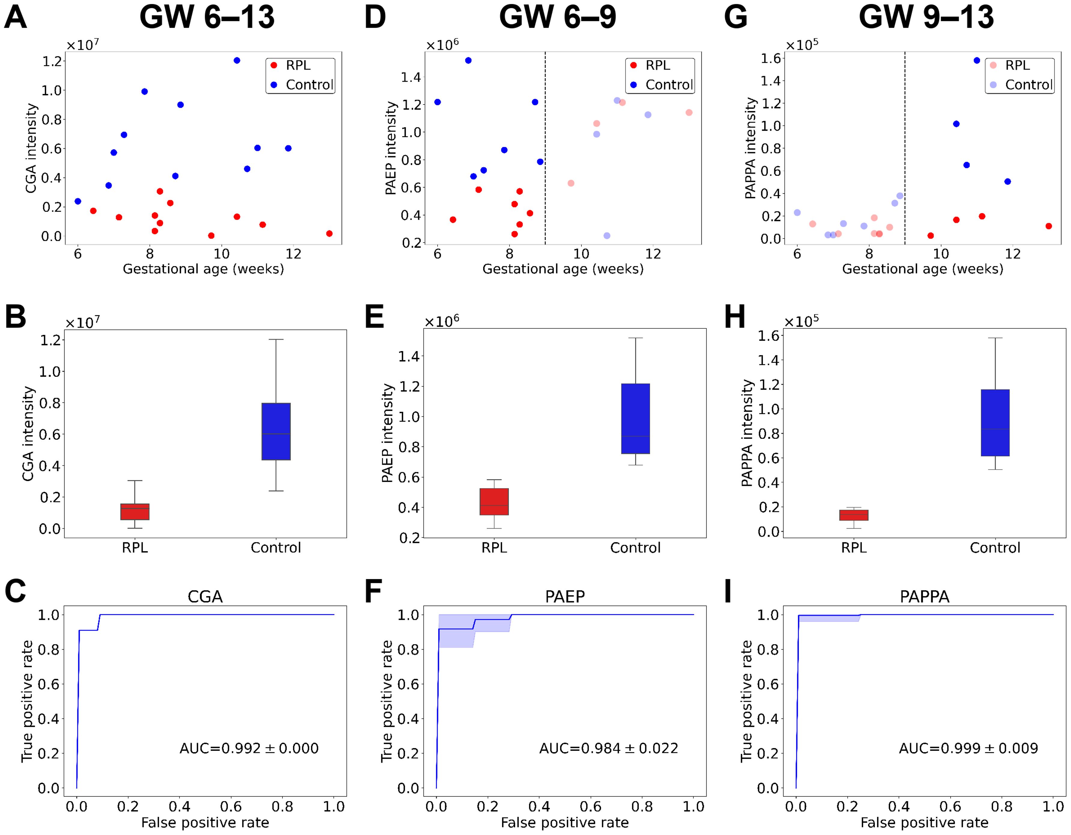 Graphs display protein intensity data for CGA, PAEP, and PAPPA. Plots A, D, G show scatter plots of protein intensity against gestational age for RPL for 6-13 weeks, 6-9 weeks and 9-13 weeks time window. Box plots B, E, H compare protein intensity for RPL and control groups, with all three proteins having lower intensities in RPL. ROC curves C, F, I show high true positive rates for all three proteins with AUC values of 0.992, 0.984, and 0.999, respectively.