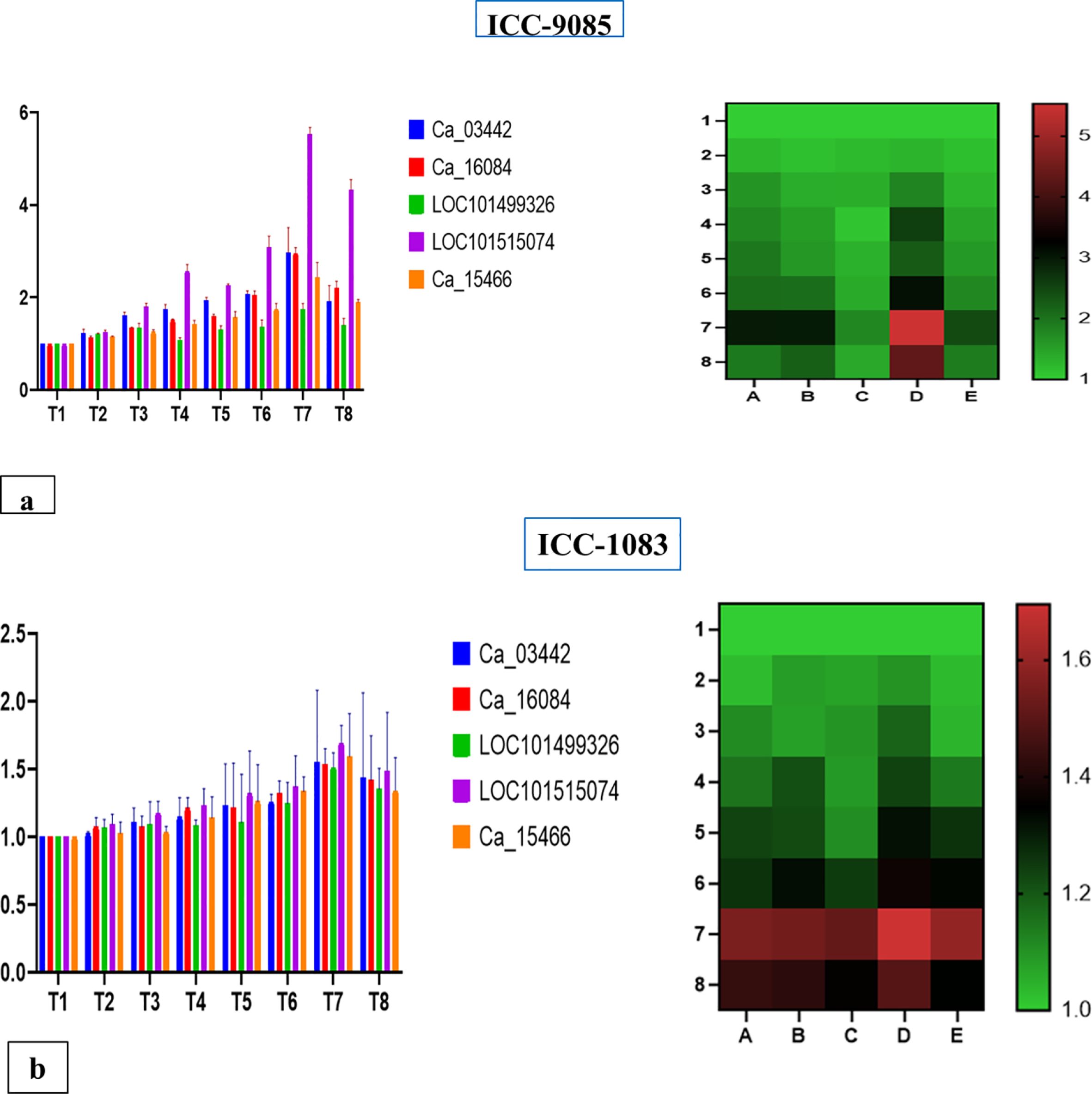 Two panels labeled “ICC-9085” and “ICC-1083” compare gene expression data. Each panel includes a bar graph and a heatmap with color-coded legends for five genes. The graphs depict expression levels at different time points, T1 to T8, varying for each gene. The heatmaps show expression intensity from green to red across conditions A to E, using a color scale for values.