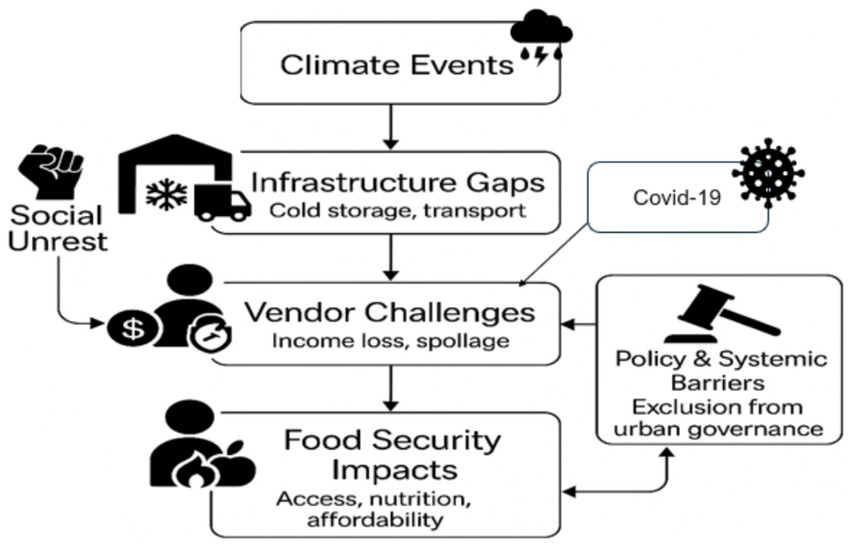 Flowchart showing relationships between factors affecting food security. Climate events and policy barriers cause infrastructure gaps and vendor challenges, leading to food security impacts. COVID-19 is linked to policy barriers. Social unrest connects to vendor challenges and food security impacts.
