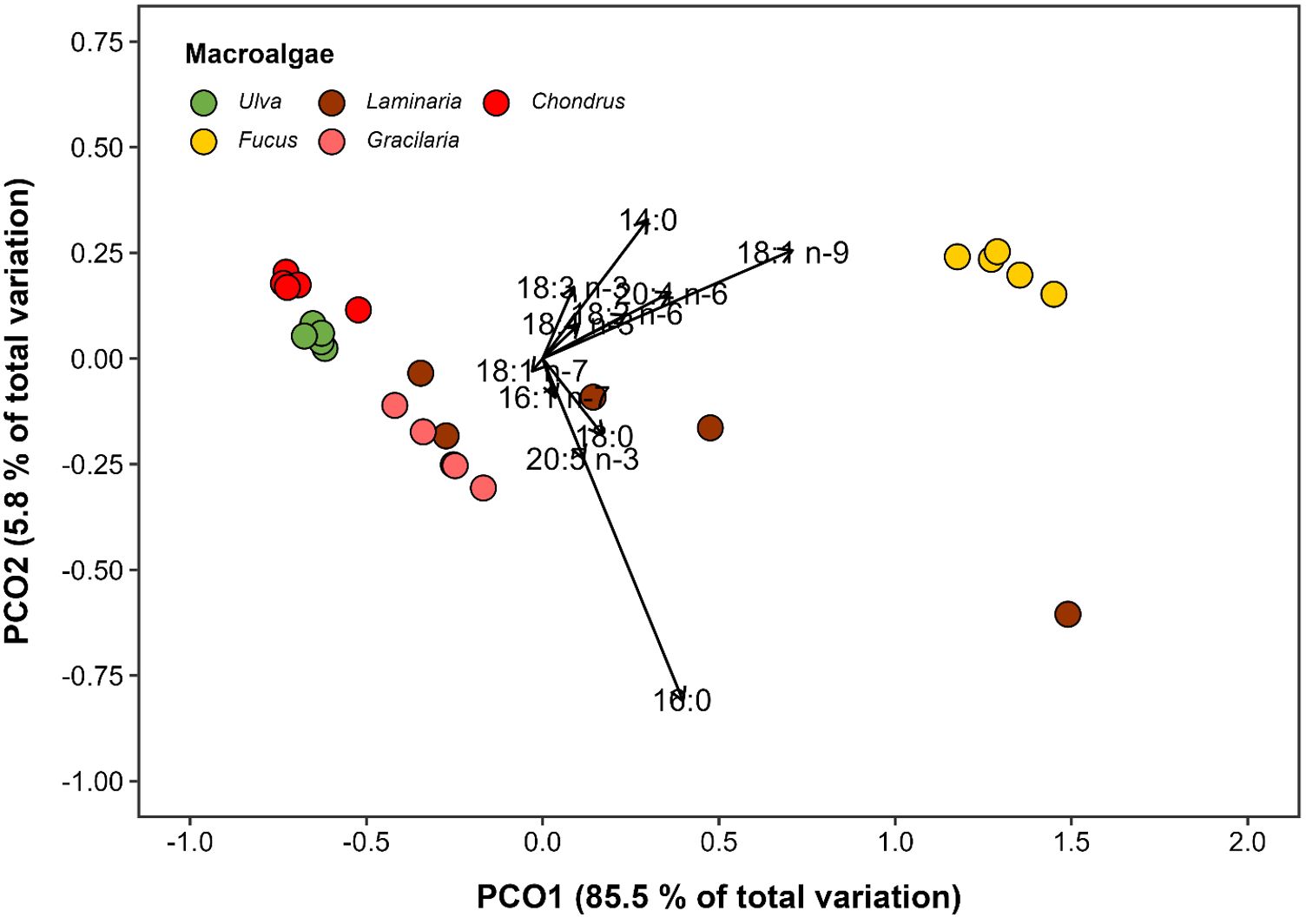 Scatter plot showing macroalgae types Ulva, Laminaria, Chondrus, Fucus, and Gracilaria distinguished by color. Axes are PCO1 at 85.5% variation and PCO2 at 5.8% variation. Vectors with labels like 18:3 n-3 indicate specific data variables.