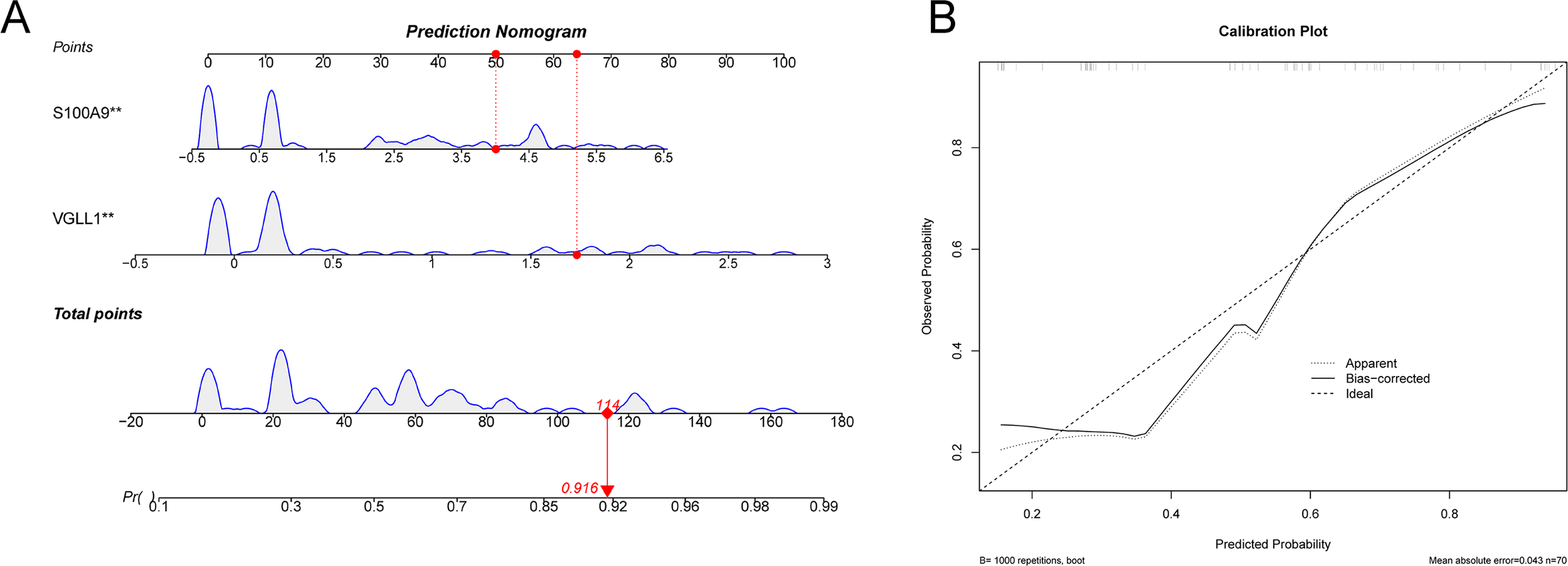 Panel A shows a prediction nomogram with curves for S100A9 and VGLL1 markers, and total points leading to a predicted probability of 0.916 at 114 points. Panel B displays a calibration plot comparing observed versus predicted probabilities with apparent, bias-corrected, and ideal lines. The plot indicates alignment and calibration performance with annotations detailing the mean absolute error as 0.043 with 70 observations.