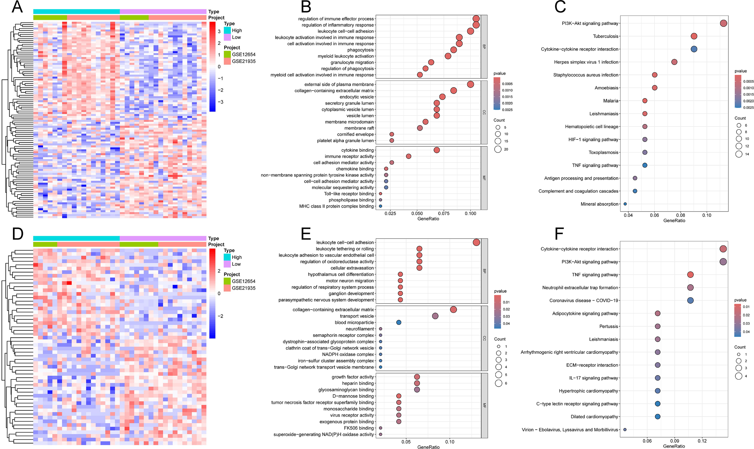 Heatmaps and bubble charts display gene expression and pathway analysis in two datasets, GSE12564 and GSE21935. Panels A and D show heatmaps. Panels B and E depict biological processes with varying p-values. Panels C and F illustrate pathways like PI3K-Akt, highlighting gene ratios and statistical significance.