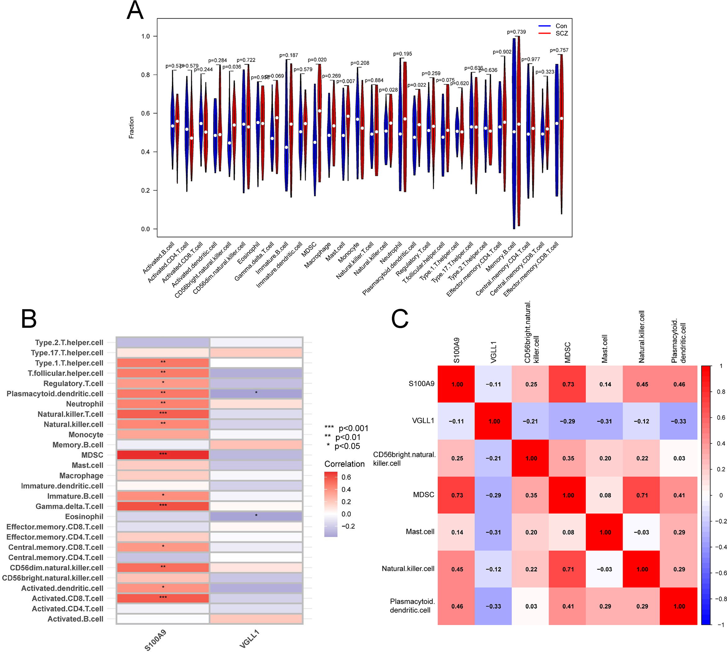 Panel A shows a violin plot comparing cell fractions between Can and SCZ groups for various cell types. Panel B is a heatmap indicating correlation between different cell types and proteins S100A9 and VGLL1, with significance levels marked. Panel C displays a correlation heatmap among proteins and cell types, with color gradients representing correlation strength.
