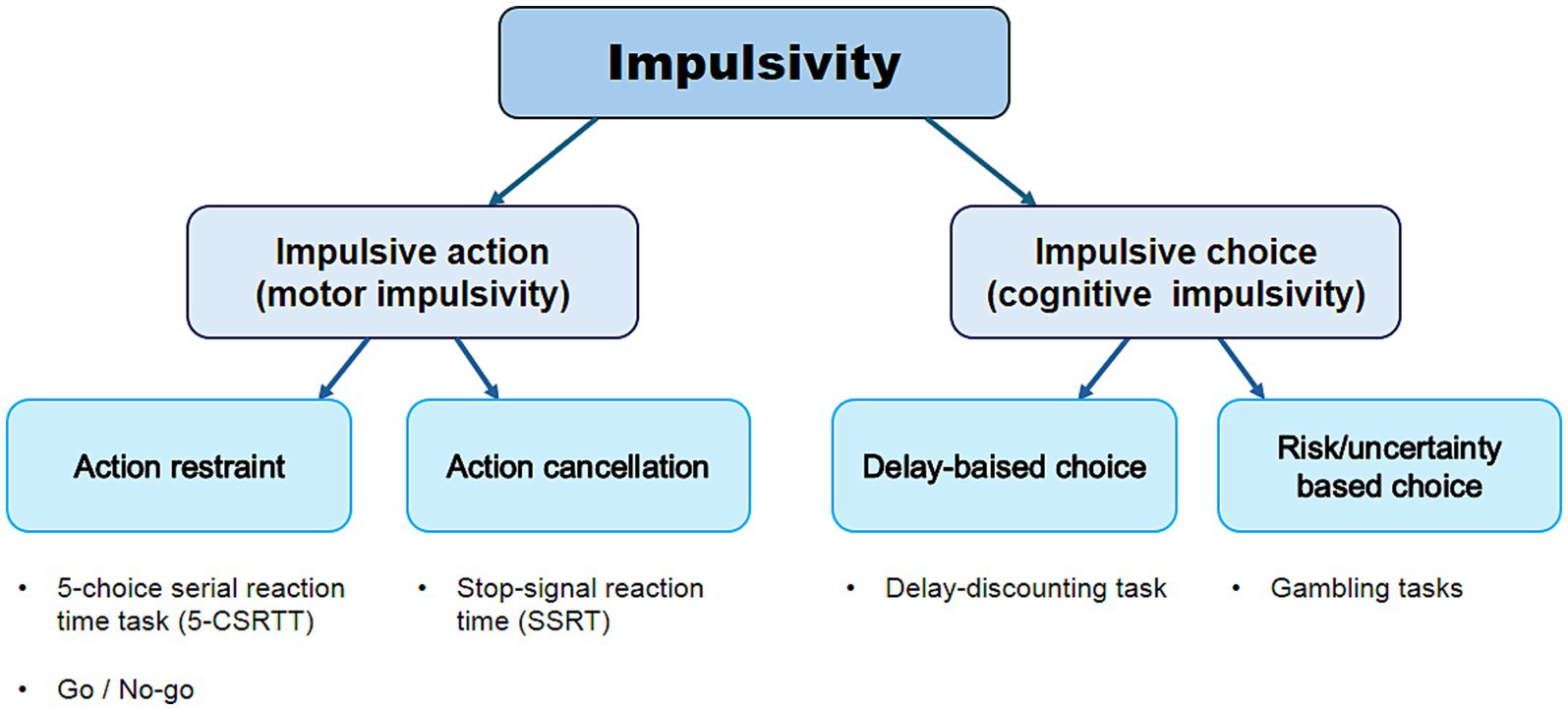 Flowchart illustrating types of impulsivity. It branches into impulsive action (motor impulsivity) with action restraint and action cancellation, and impulsive choice (cognitive impulsivity) with delay-based choice and risk/uncertainty-based choice. Associated tasks include 5-choice serial reaction time, go/no-go, stop-signal reaction time, delay-discounting, and gambling tasks.