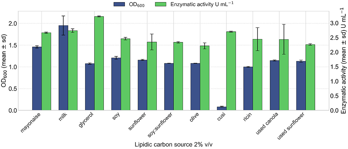 Bar chart comparing optical density (OD600) and enzymatic activity across various lipidic carbon sources at two percent volume by volume. Each source, including mayonnaise, milk, glycerol, soy, and others, displays blue bars for OD600 and green bars for enzymatic activity. Milk, glycerol, and cuis show higher enzymatic activity, while mayonnaise shows higher OD600. Error bars indicate standard deviation.