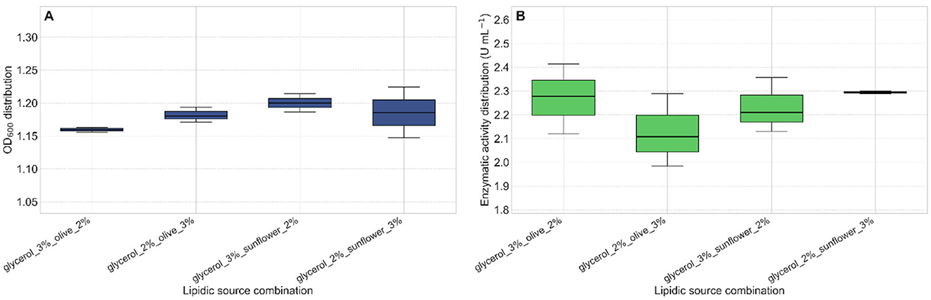 Two box plots comparing lipidic source combinations. Plot A (left) shows OD measurements for different glycerol, olive, and sunflower oil combinations, with values around 1.15 to 1.25. Plot B (right) shows enzymatic activity distribution, measured in units per milliliter, with values around 2.0 to 2.5. Both plots exhibit variations across glycerol and oil combinations.