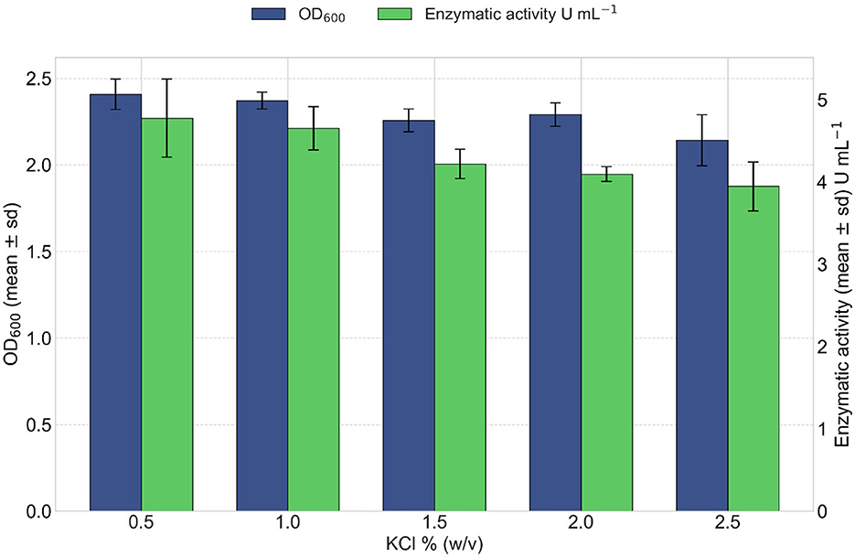 Bar graph comparing OD600 and enzymatic activity across varying KCl percentages by weight/volume. Six bars show results for 0.5, 1.0, 1.5, 2.0, and 2.5% KCl. OD600 bars in blue and enzymatic activity bars in green, both with error bars. OD600 values range from 1.8 to 2.5, and enzymatic activity from 3.5 to 5.0.