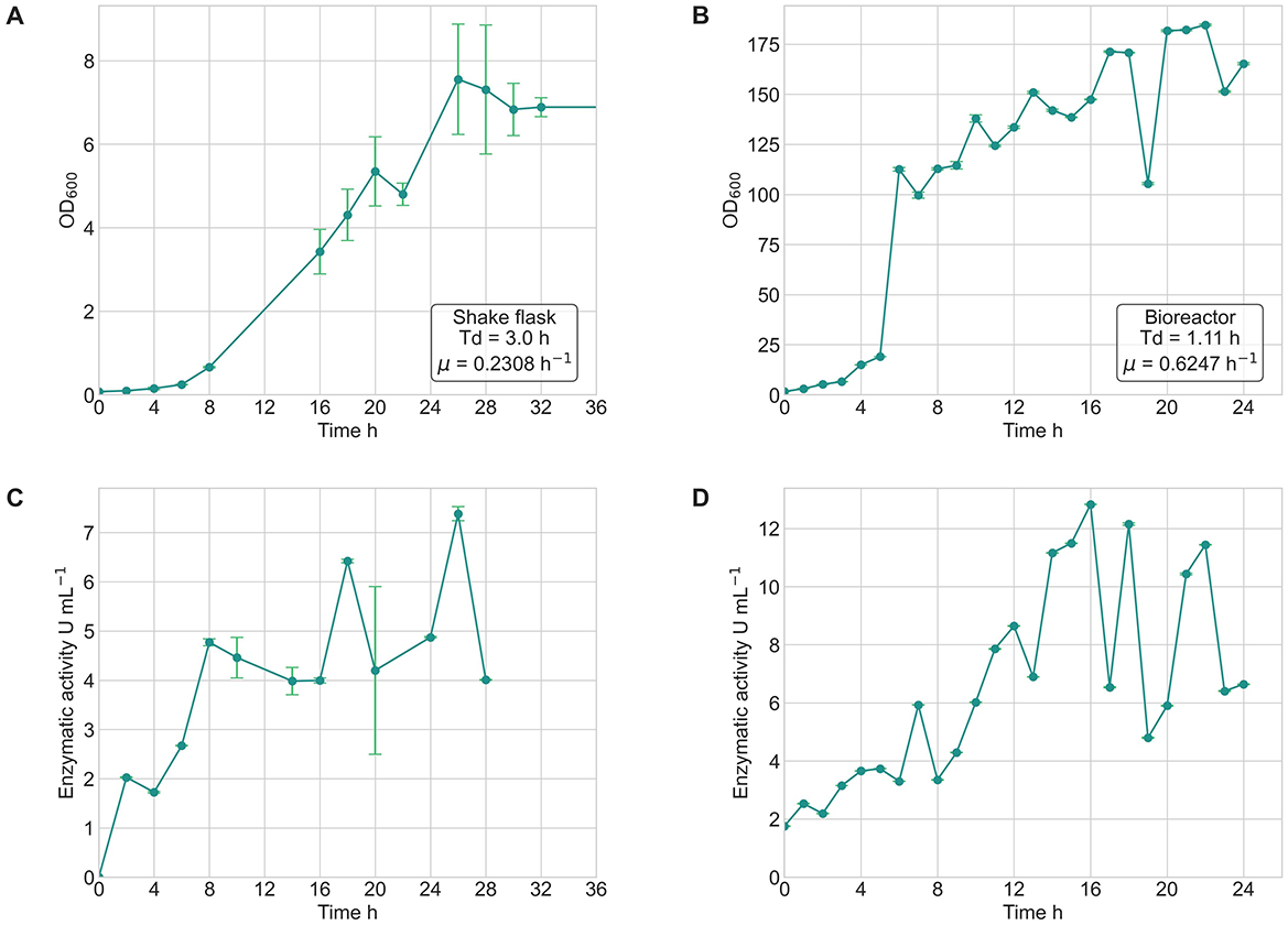 Panel A shows optical density (OD600) growth in a shake flask, with a doubling time (Td) of three hours and a growth rate (μ) of 0.2308 per hour. Panel B displays OD600 growth in a bioreactor, with a Td of 1.11 hours and a μ of 0.6247 per hour. Panel C illustrates enzymatic activity over time in a shake flask, and Panel D shows the same for a bioreactor. Each panel includes error bars indicating variability in measurements.