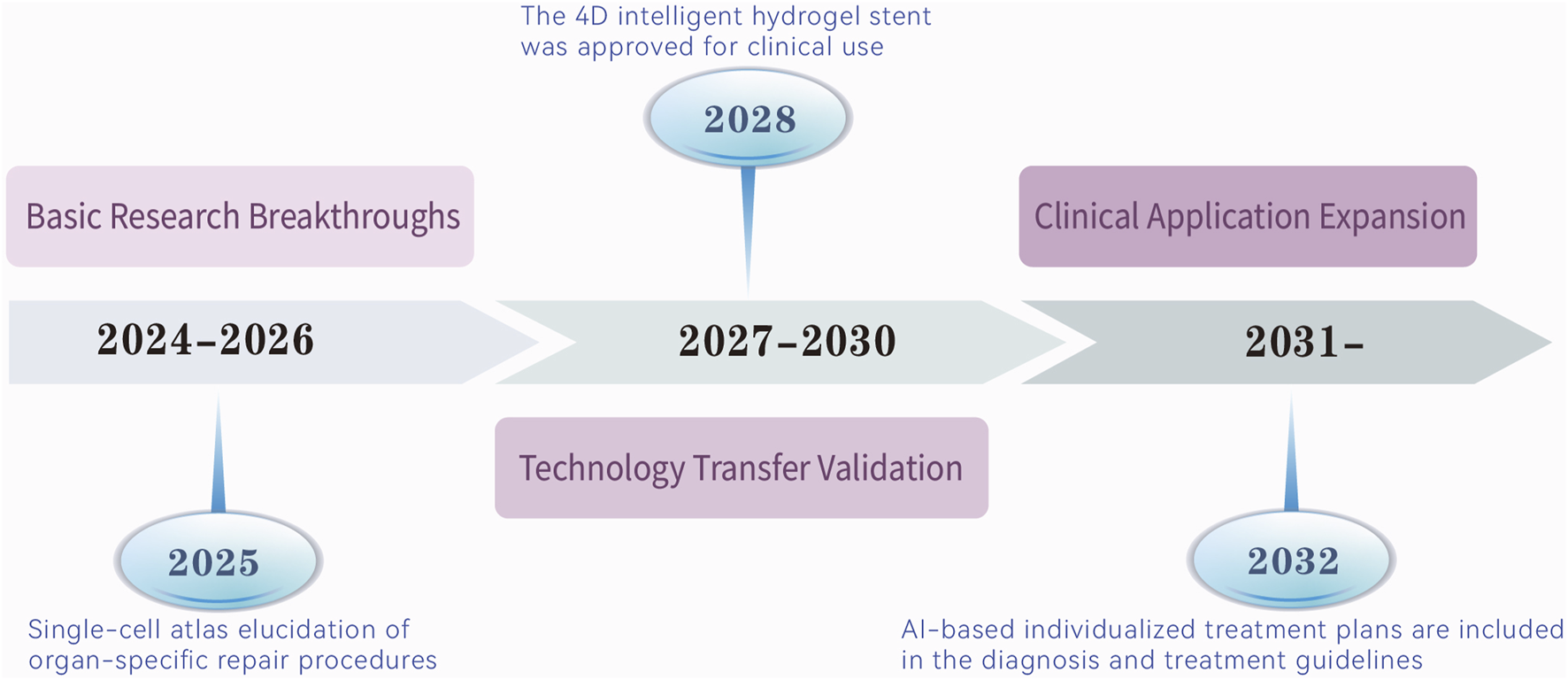 Timeline illustrating advancements in medical research and application. From 2024 to 2026, basic research breakthroughs occur. In 2025, single-cell atlas elucidation of organ-specific repair procedures. From 2027 to 2030, technology transfer validation occurs; in 2028, the 4D intelligent hydrogel stent is approved for clinical use. In 2031 and beyond, clinical application expansion continues. In 2032, AI-based individualized treatment plans are included in diagnosis and treatment guidelines.